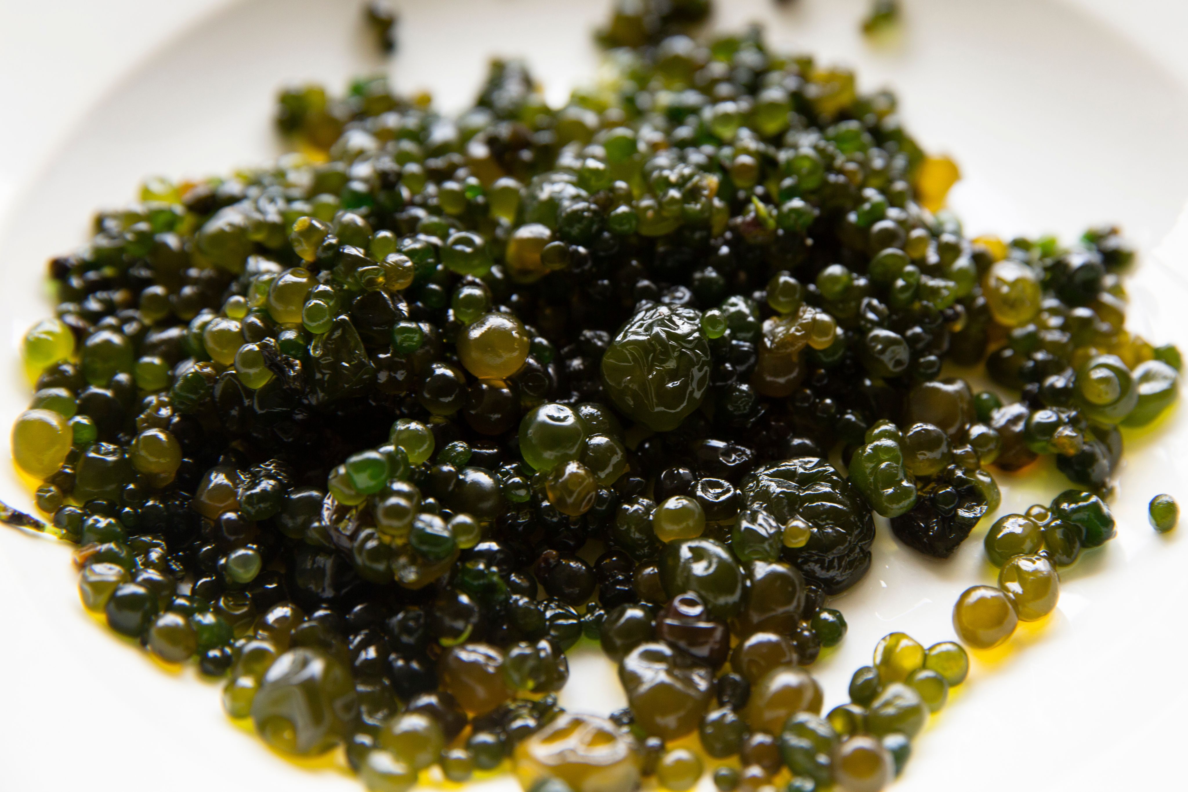 Cushuro, an edible algae found in the Andes.