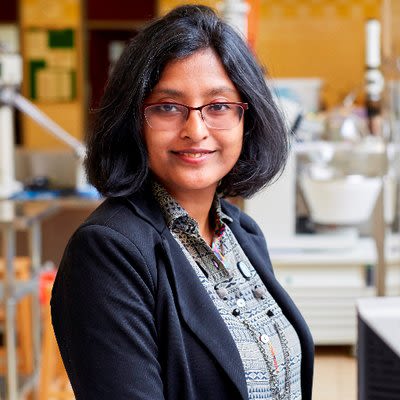 Professor Anwesha Sarkar
