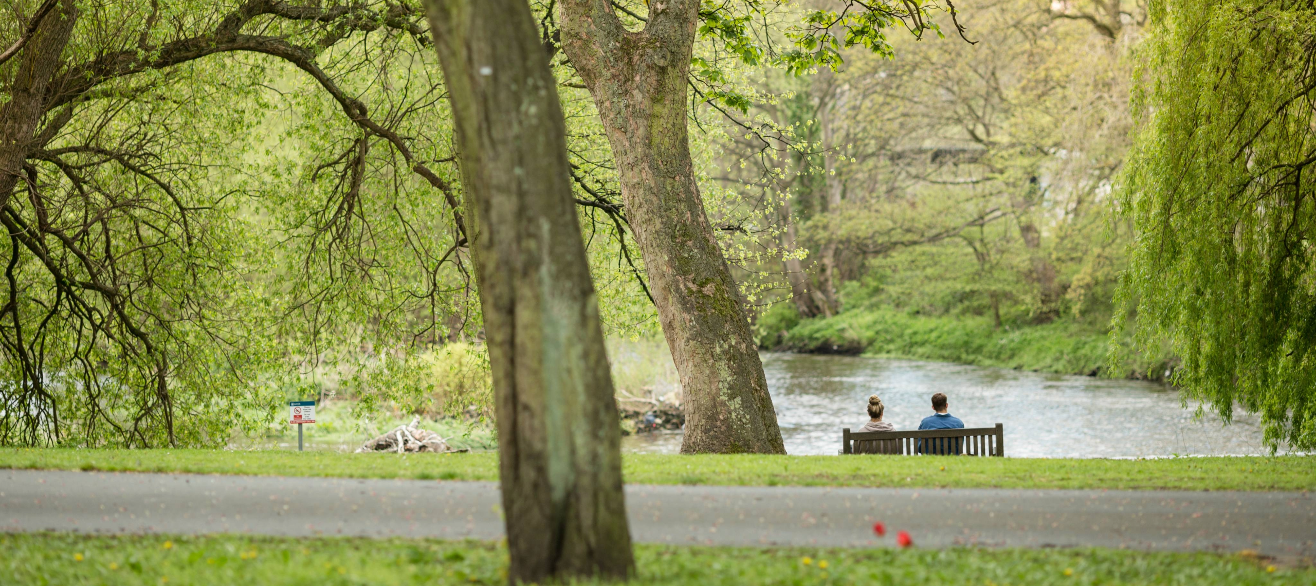 Two people sit on a bench in the background, facing a river with trees surrounding. In the foreground stands a tree trunk and a path.
