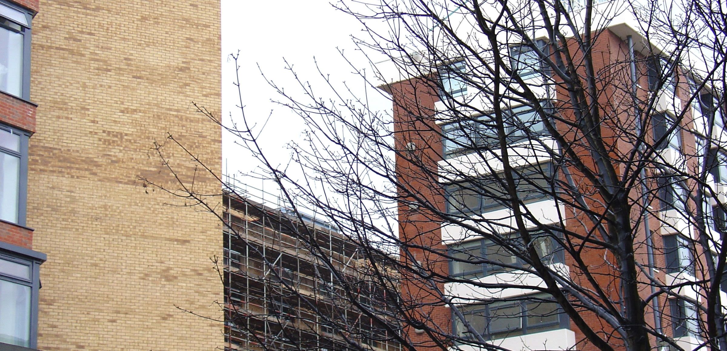 Scaffolding and buildings