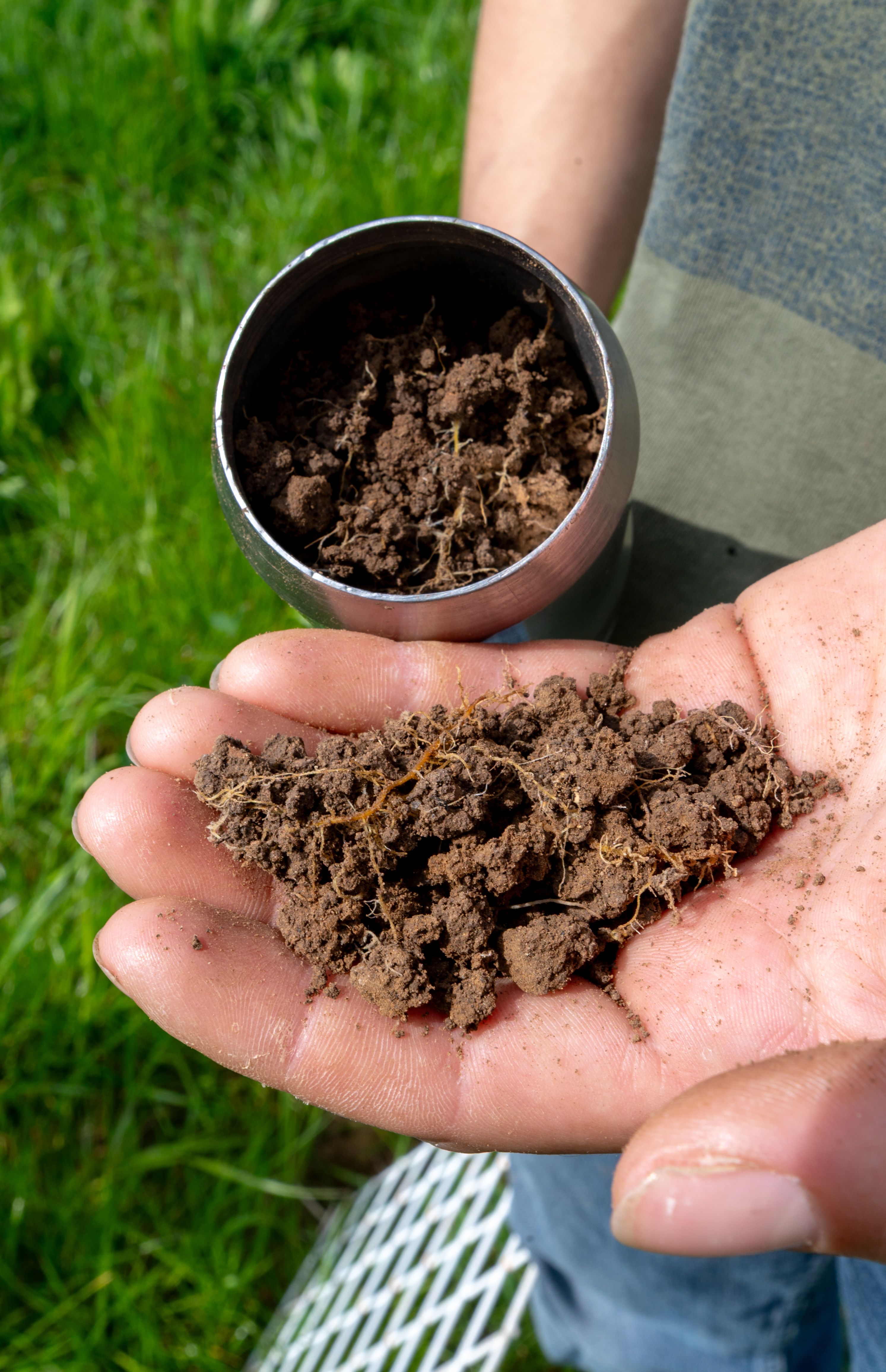Zoë inspecting roots on the farm