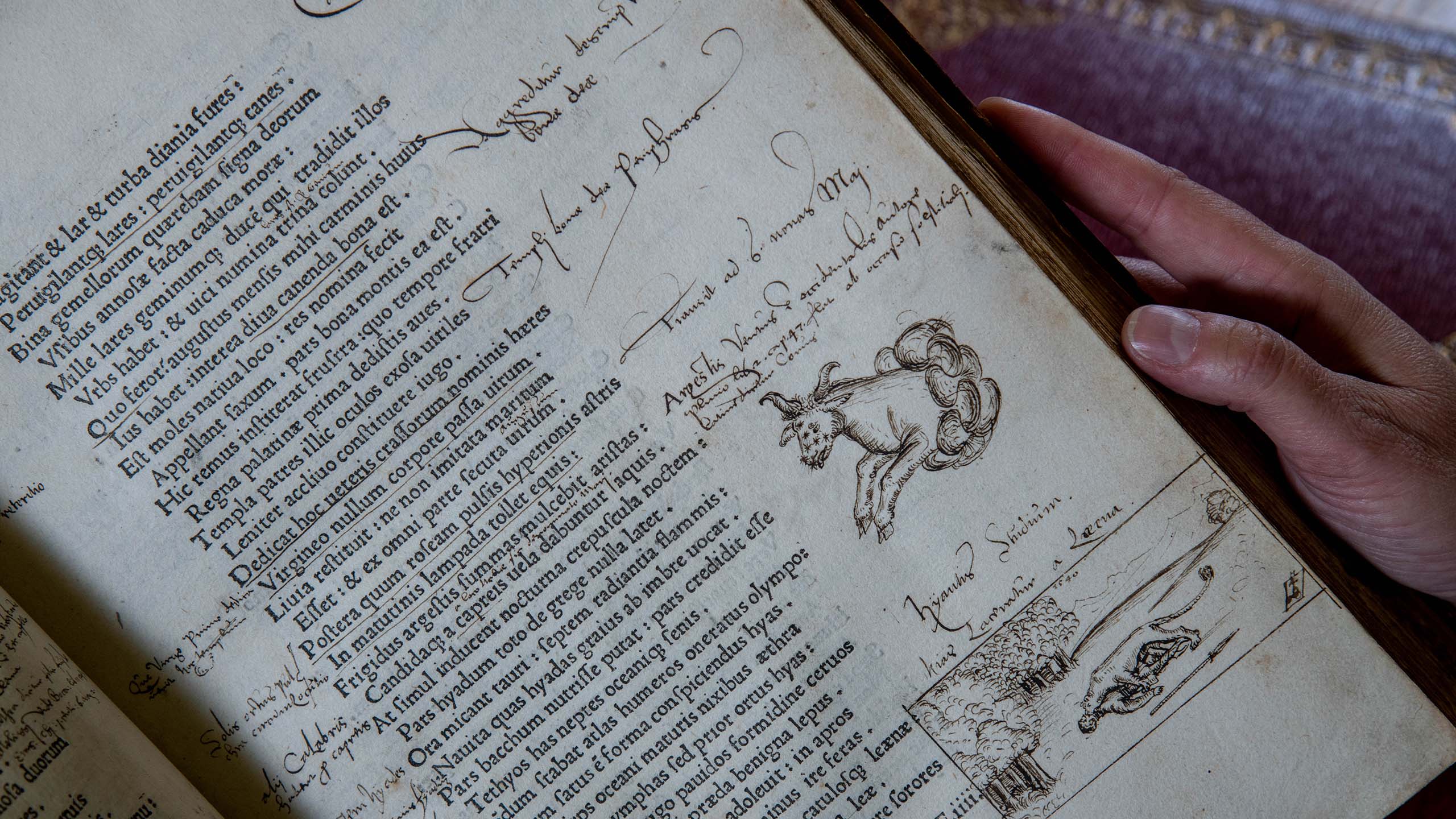 Doodles in the margin of a page in Latin. Described under the heading Ovid.