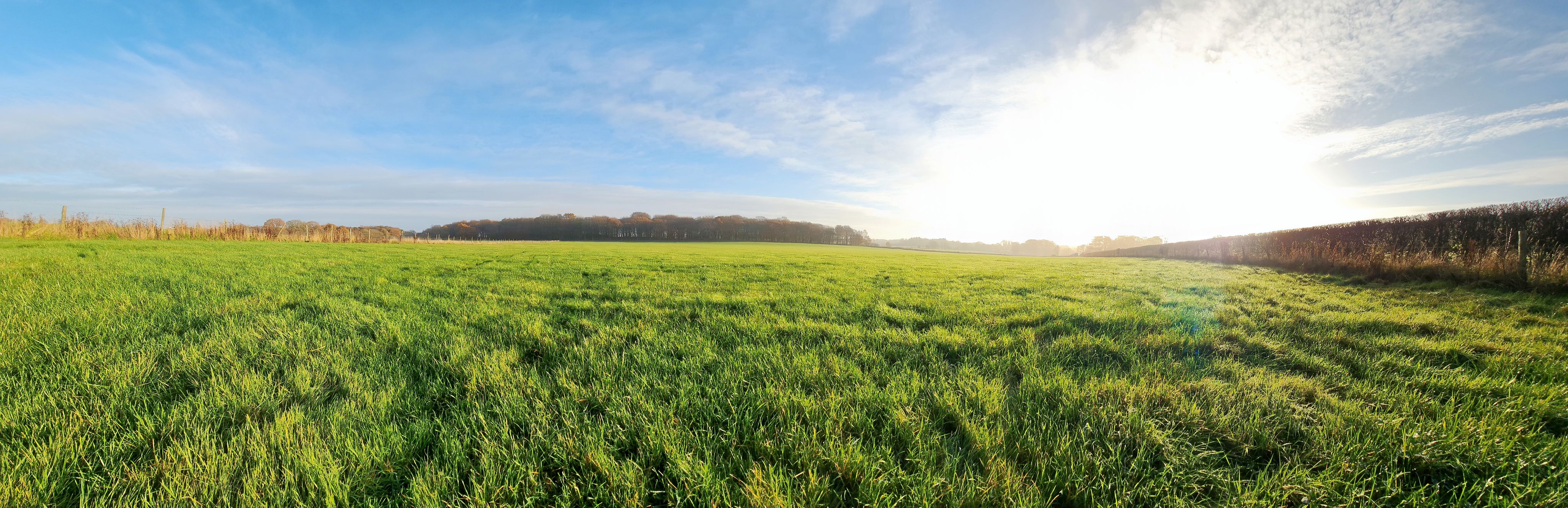 Empty green field with blue sky