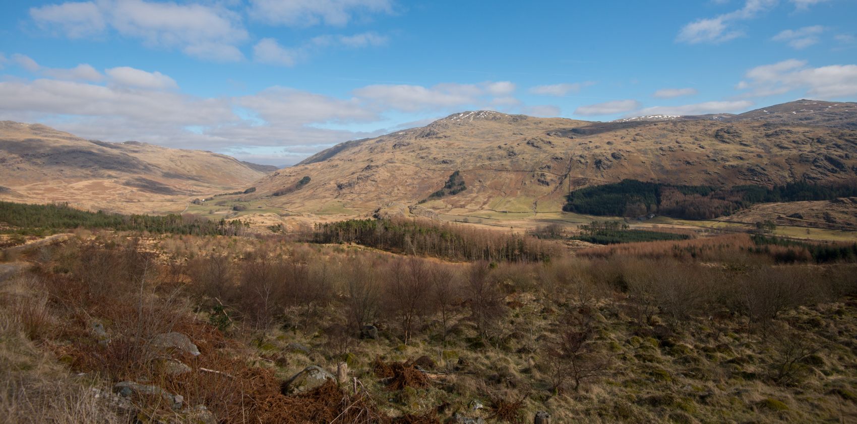 Yorkshire landscape. In the foreground there is shrubbery and in the background is a forest with a hill behind it. 