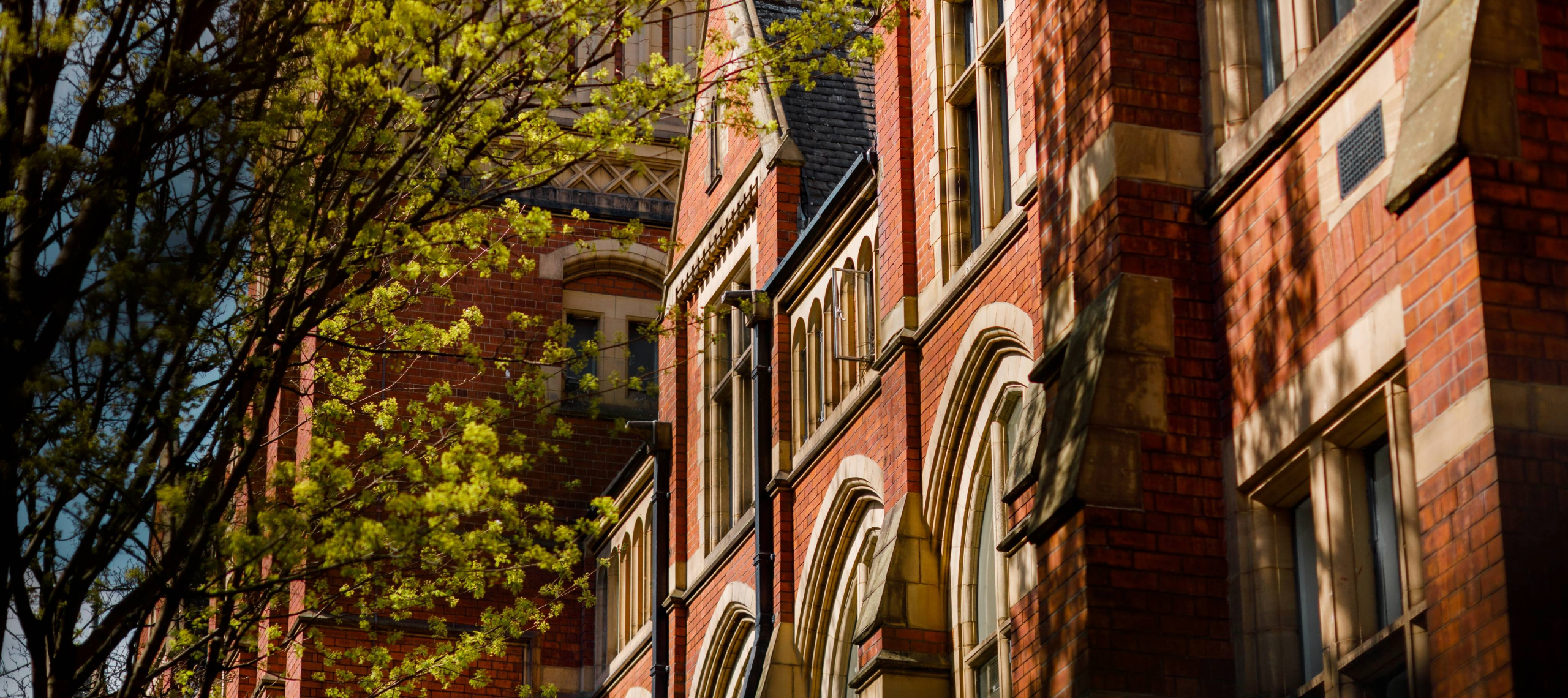 Dappled sunlight shines through trees onto the face of Baines Wing.