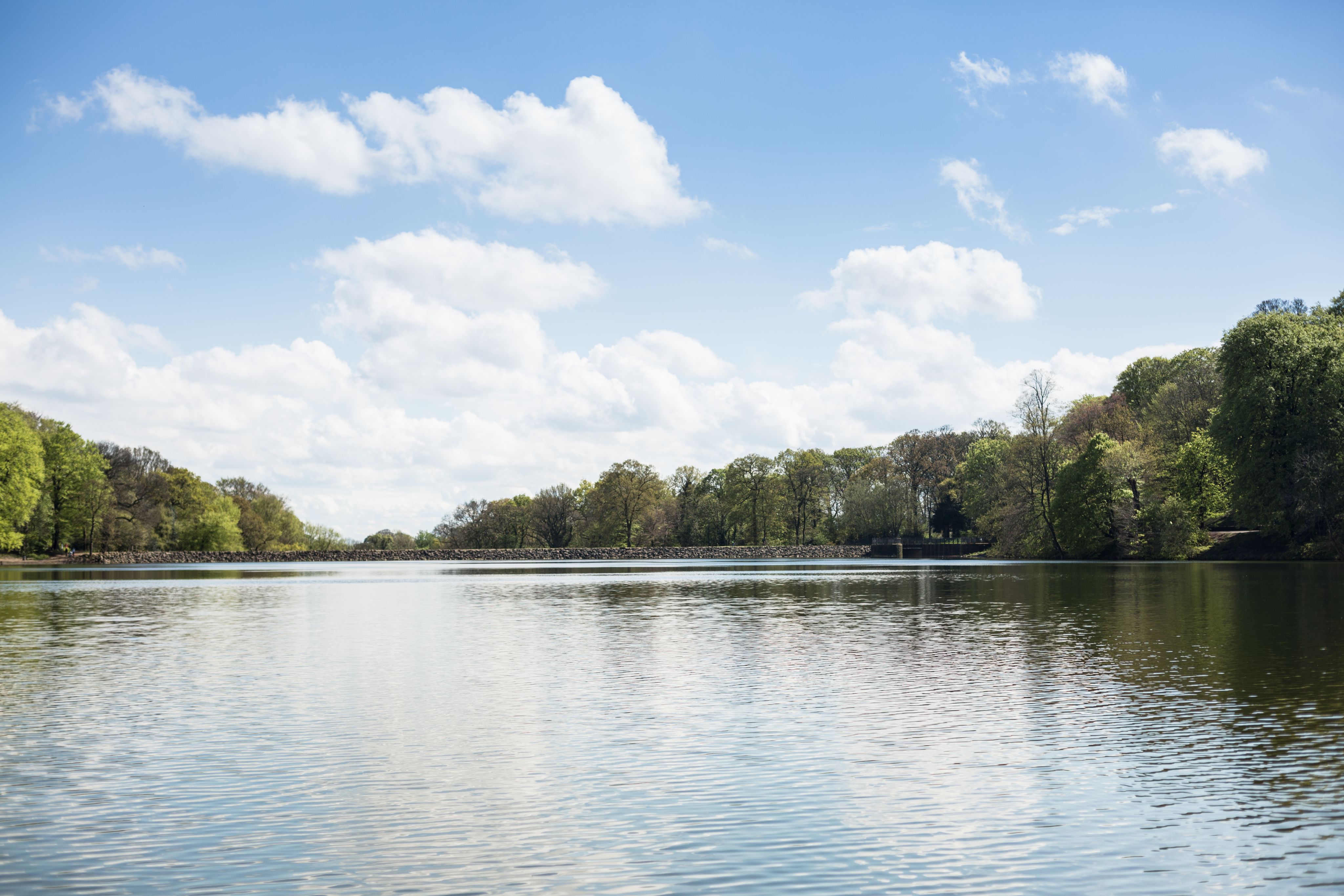 A still lake with trees around the edge on sunny day.