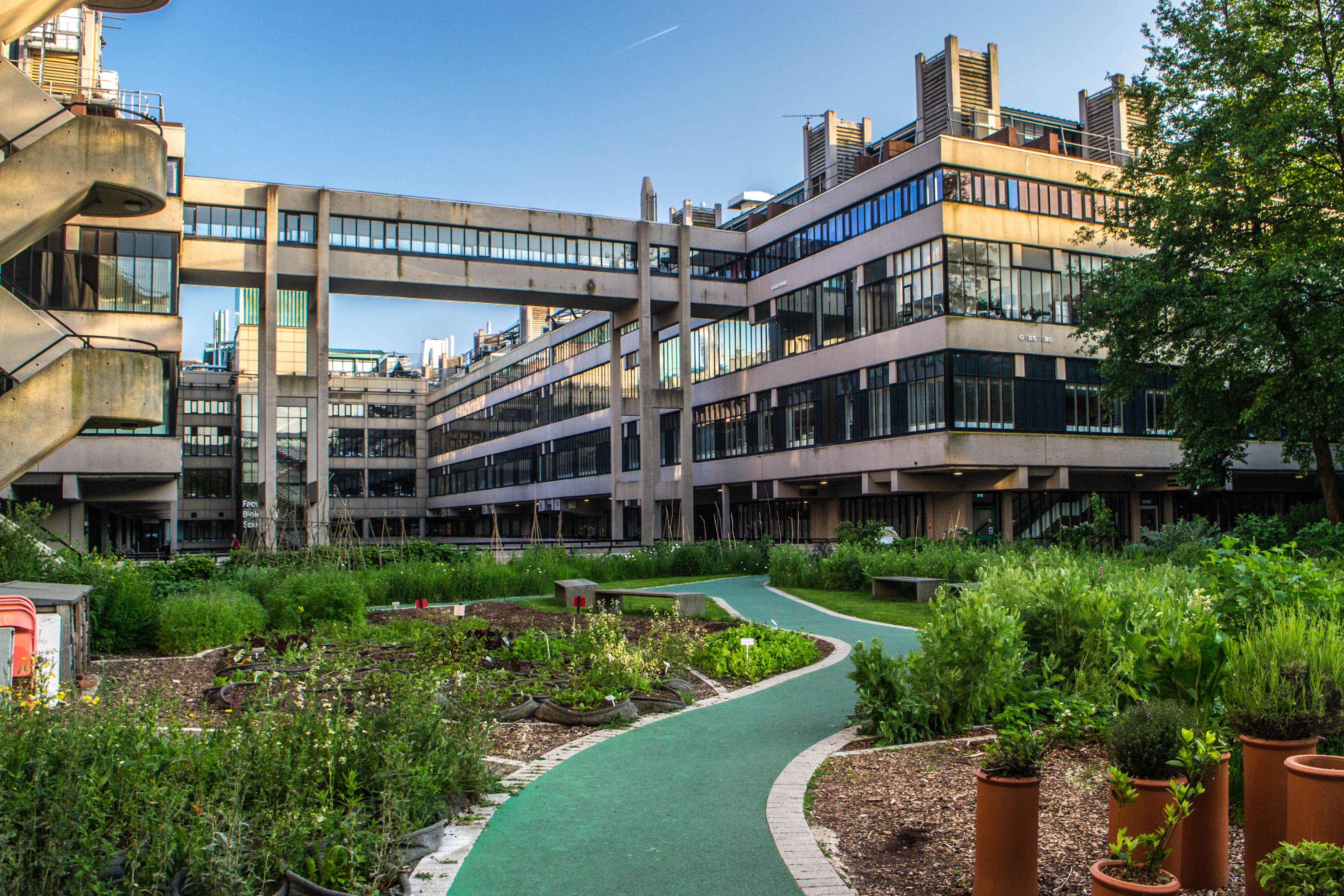 A garden on campus, with a path winding through green plants and a concrete building behind.