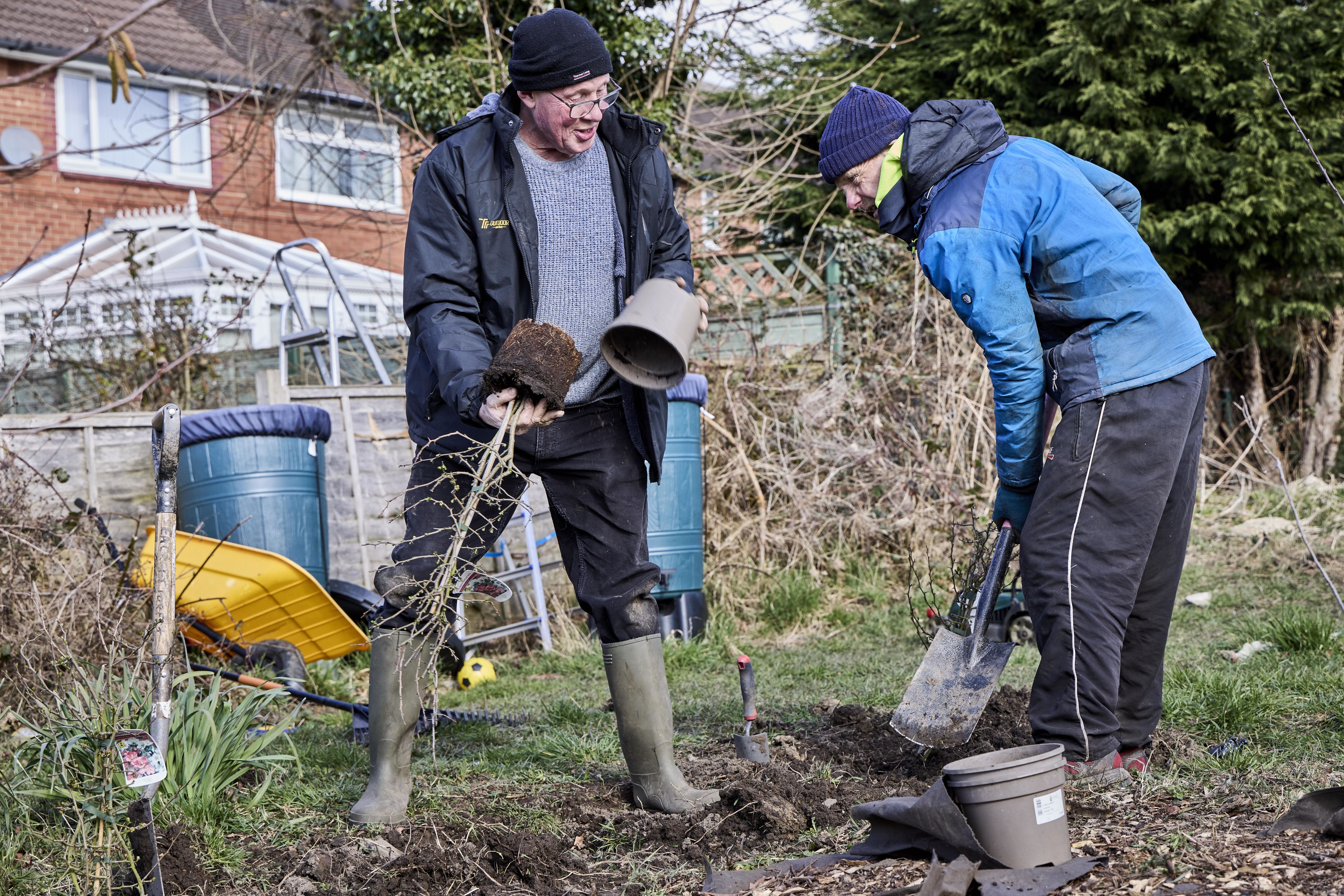 Two people planting trees. One person has just taken a young tree out of its pot, while the other people is digging a hole.