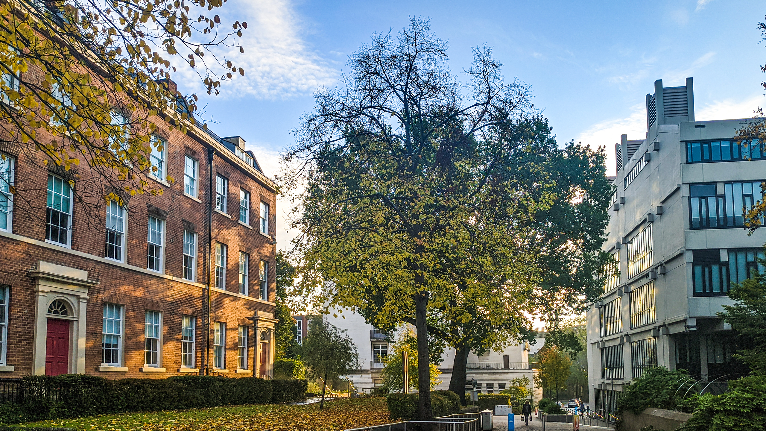 A picture of university buildings in the sunshine