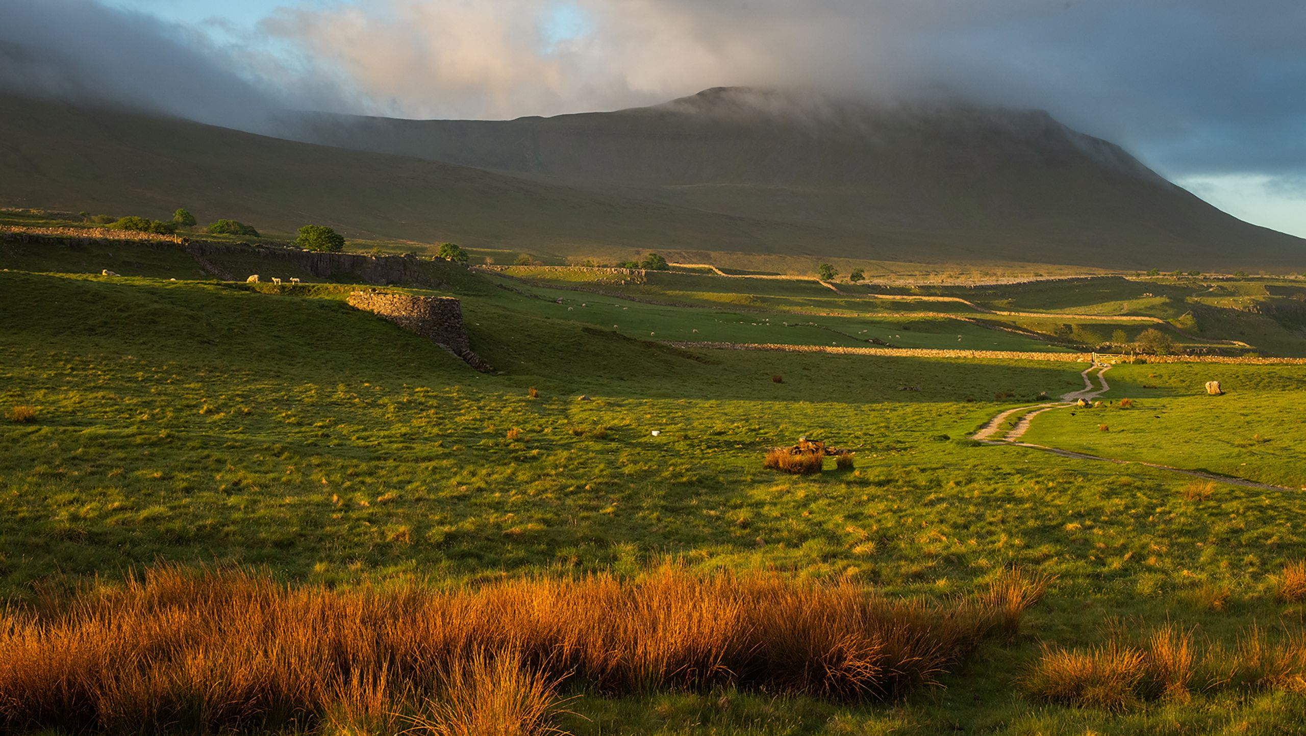 The summit of Ingleborough emerging from the cloud