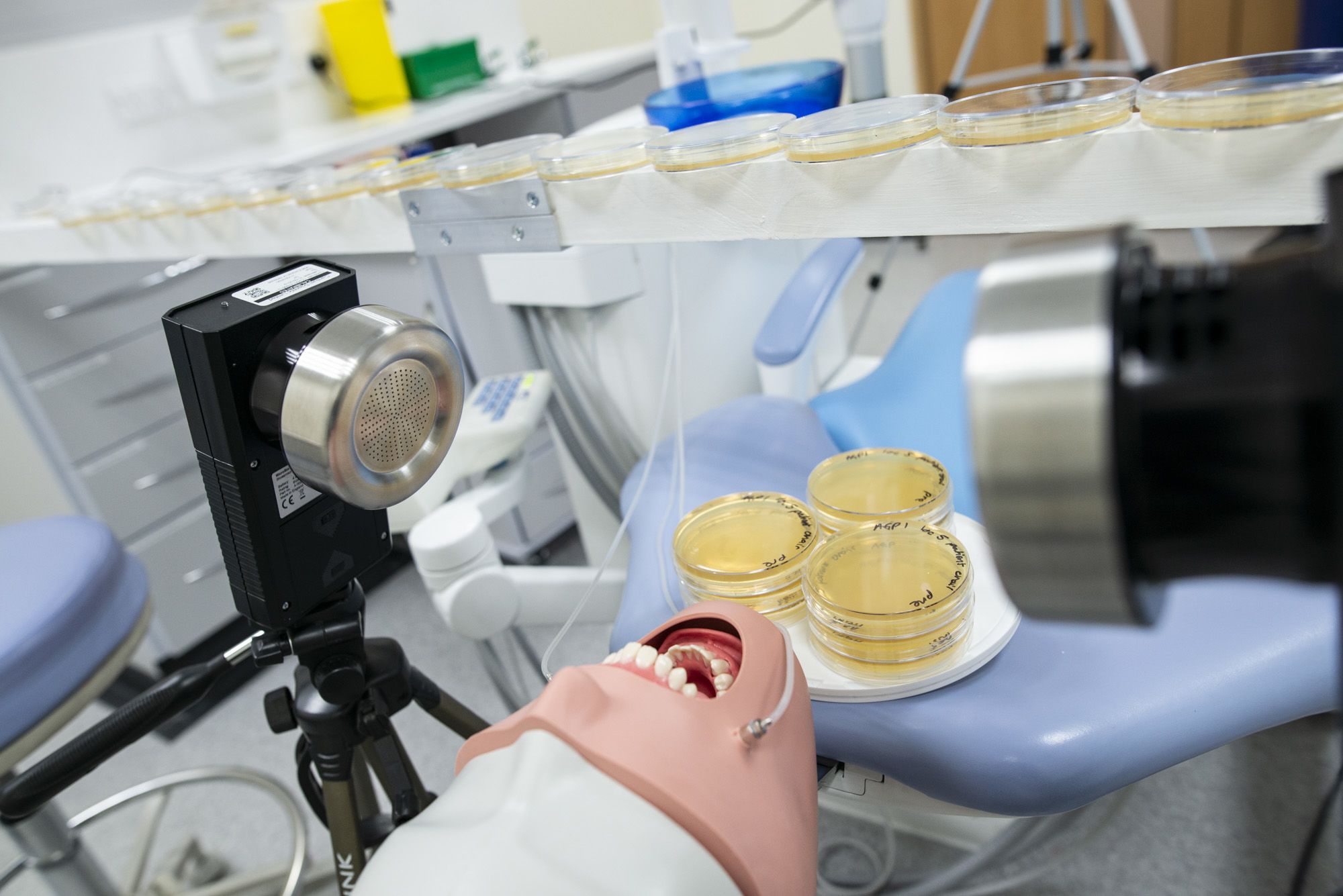 A dental dummy in a lab