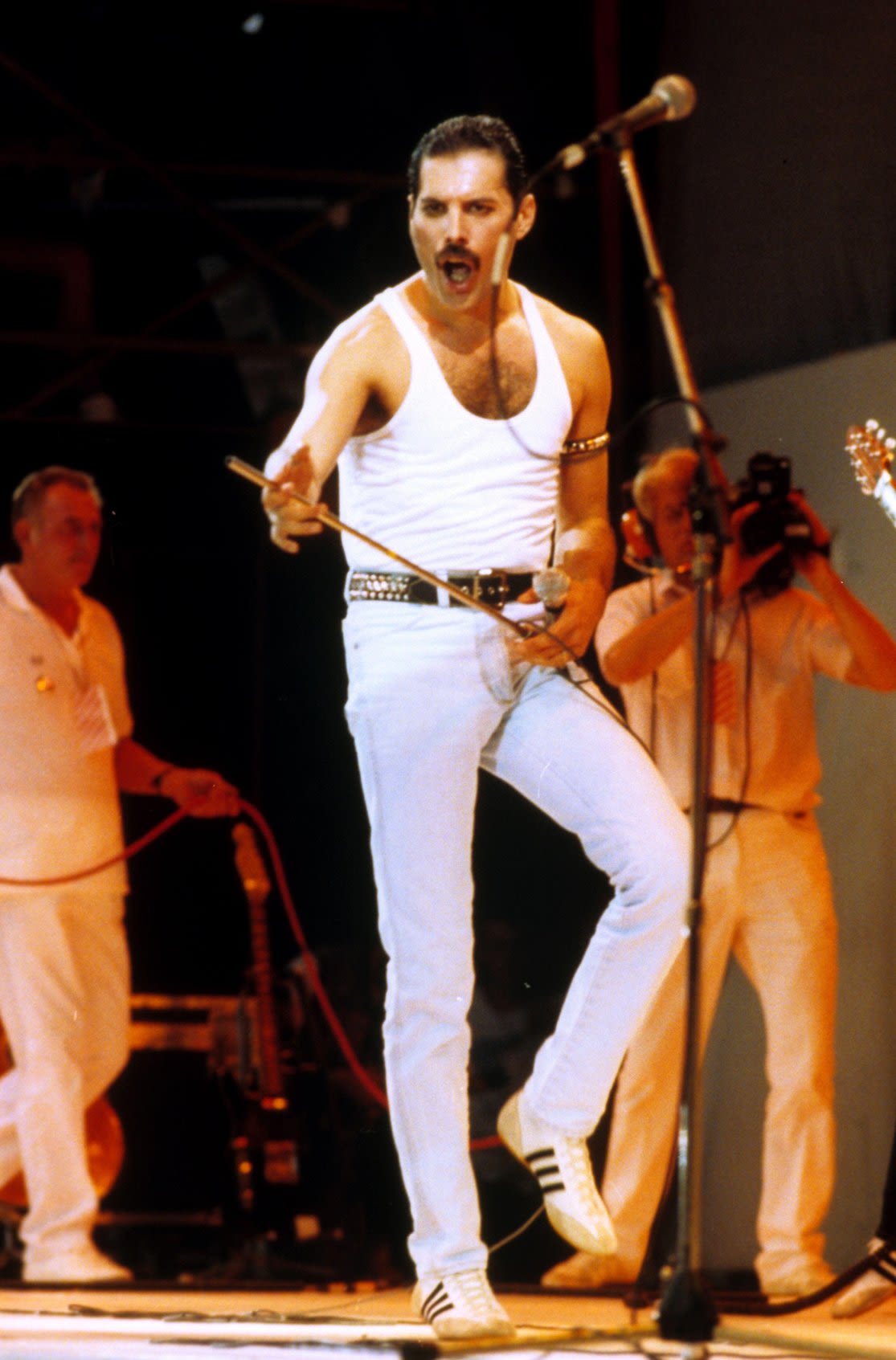 Freddie Mercury performs on stage