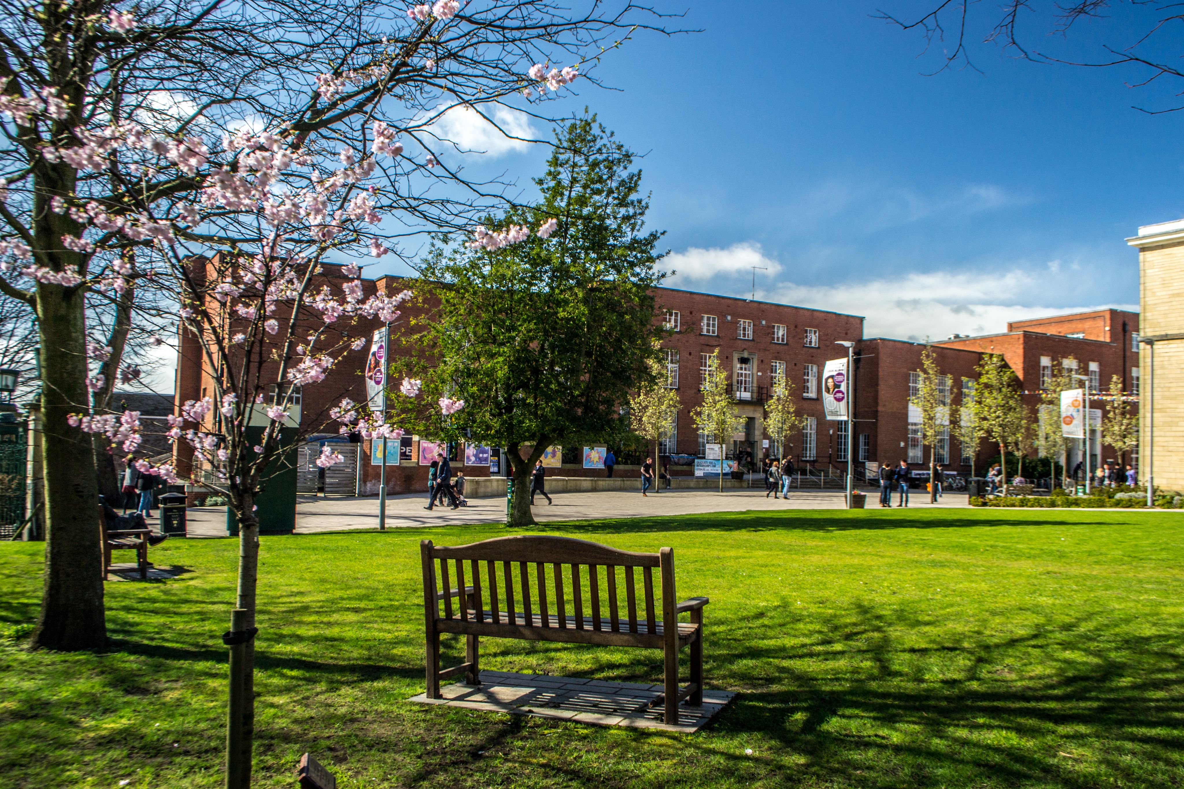 Image of grass in front of the Leeds University Union
