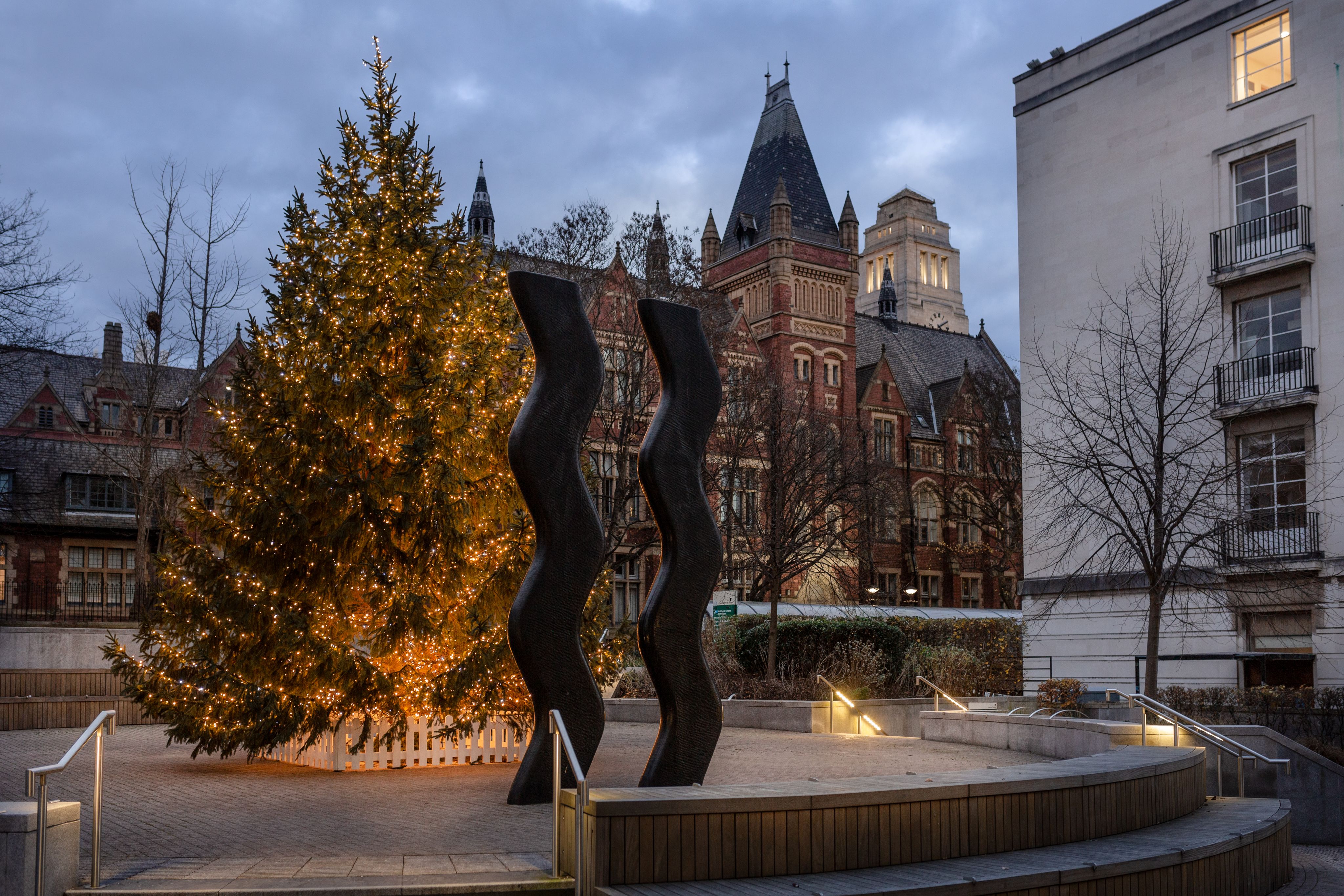 Christmas tree on campus