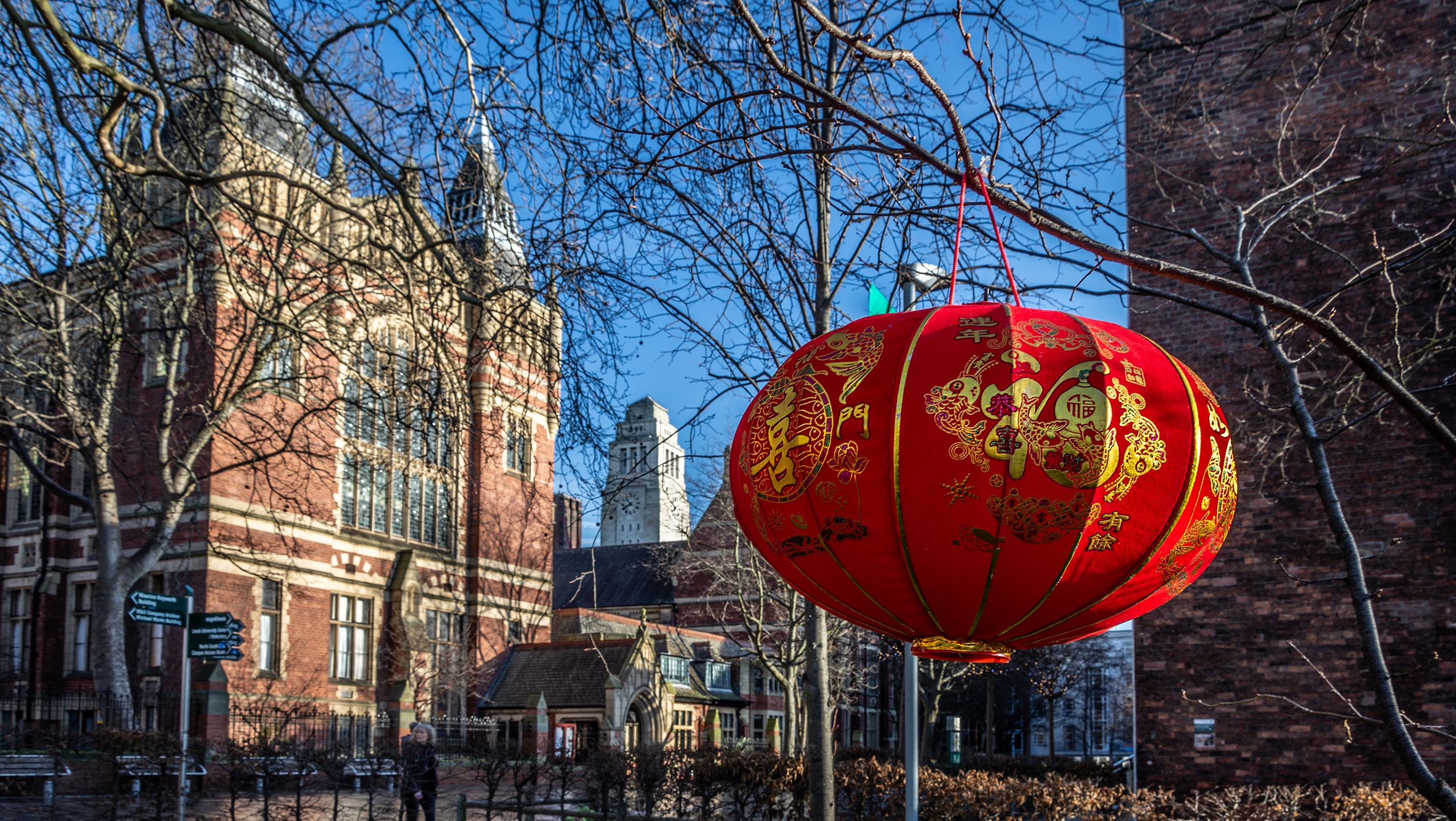 Campus with a decoration hanging from tree for lunar new year