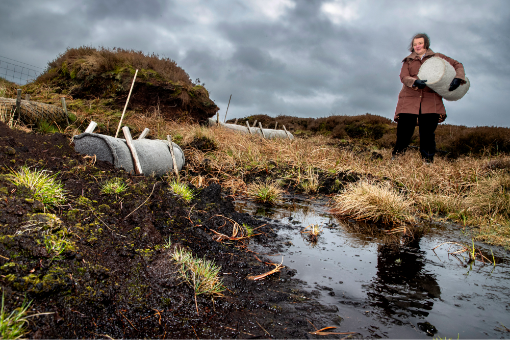 A woman stands on a moorland holding a roll of wool