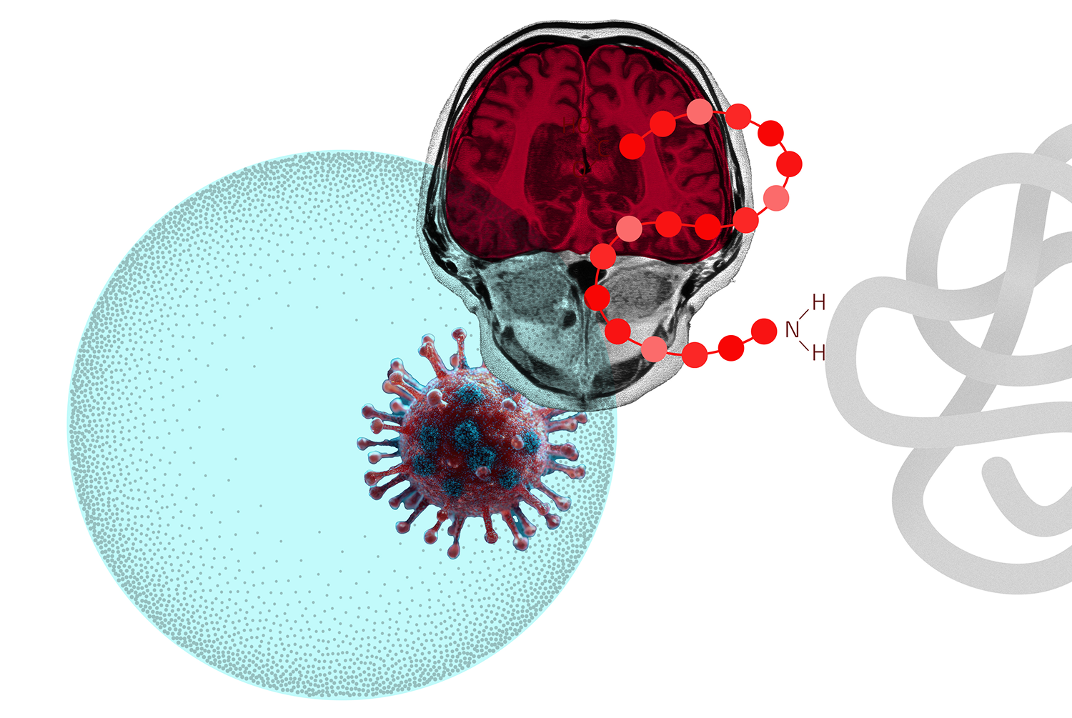 A cell under a microscope