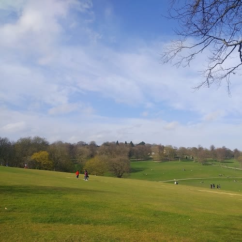A photo of open green space with blue sky