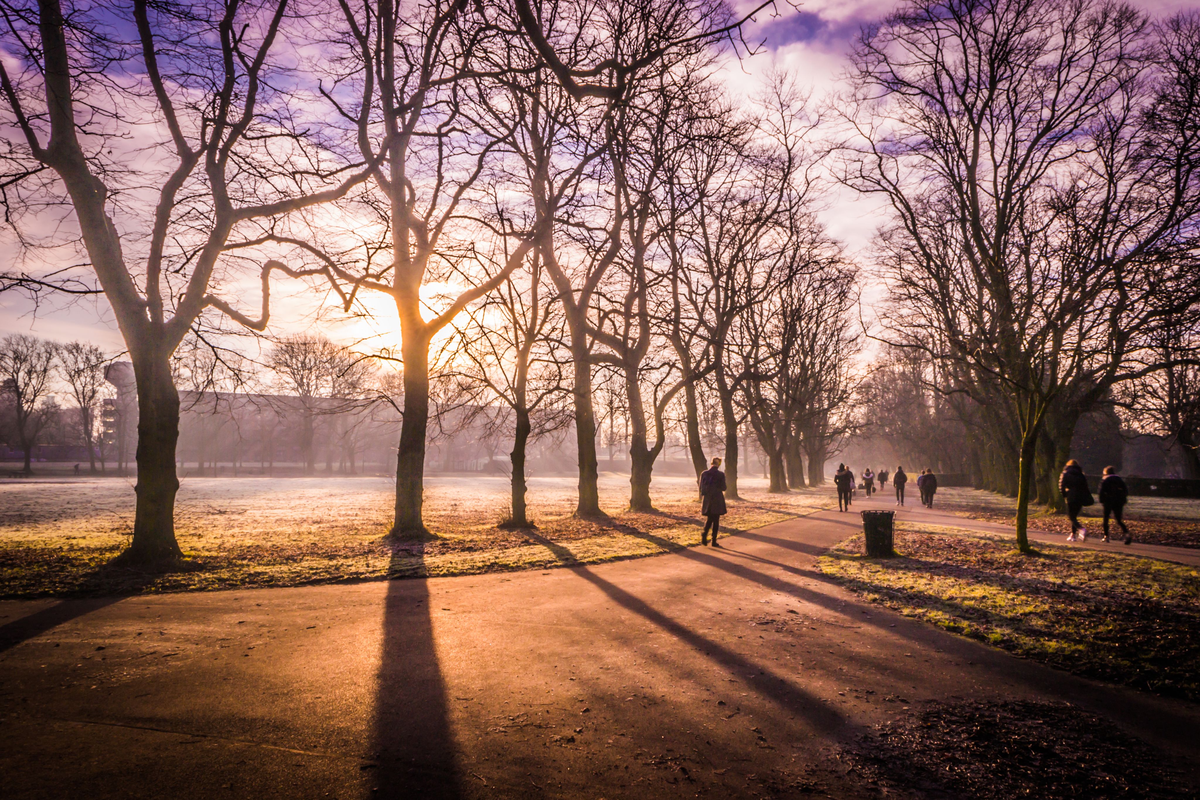 Woodhouse Moor