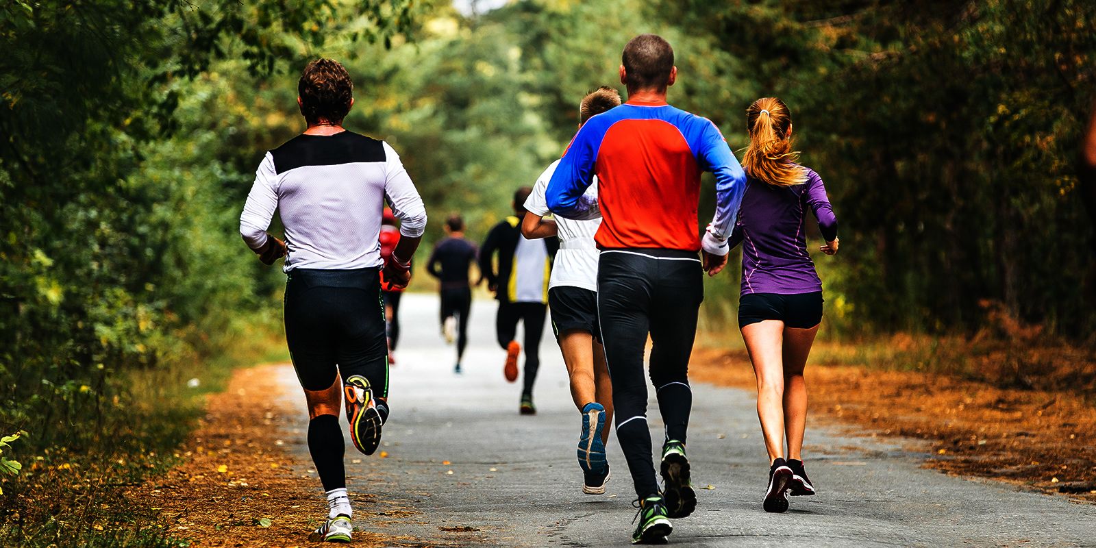 Group of runners from behind on a path in a wooded area