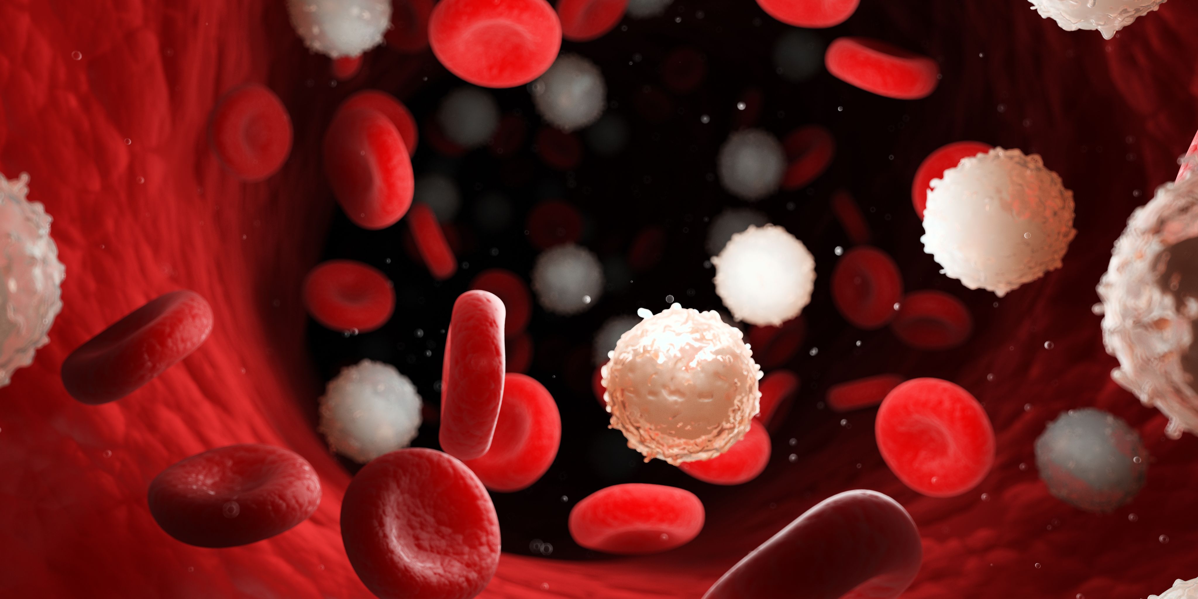 An illustration of blood cells in the blood.