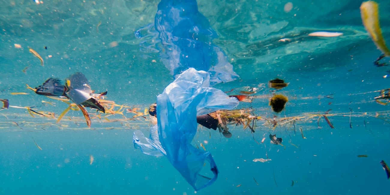 Tracking the flow of plastic pollution