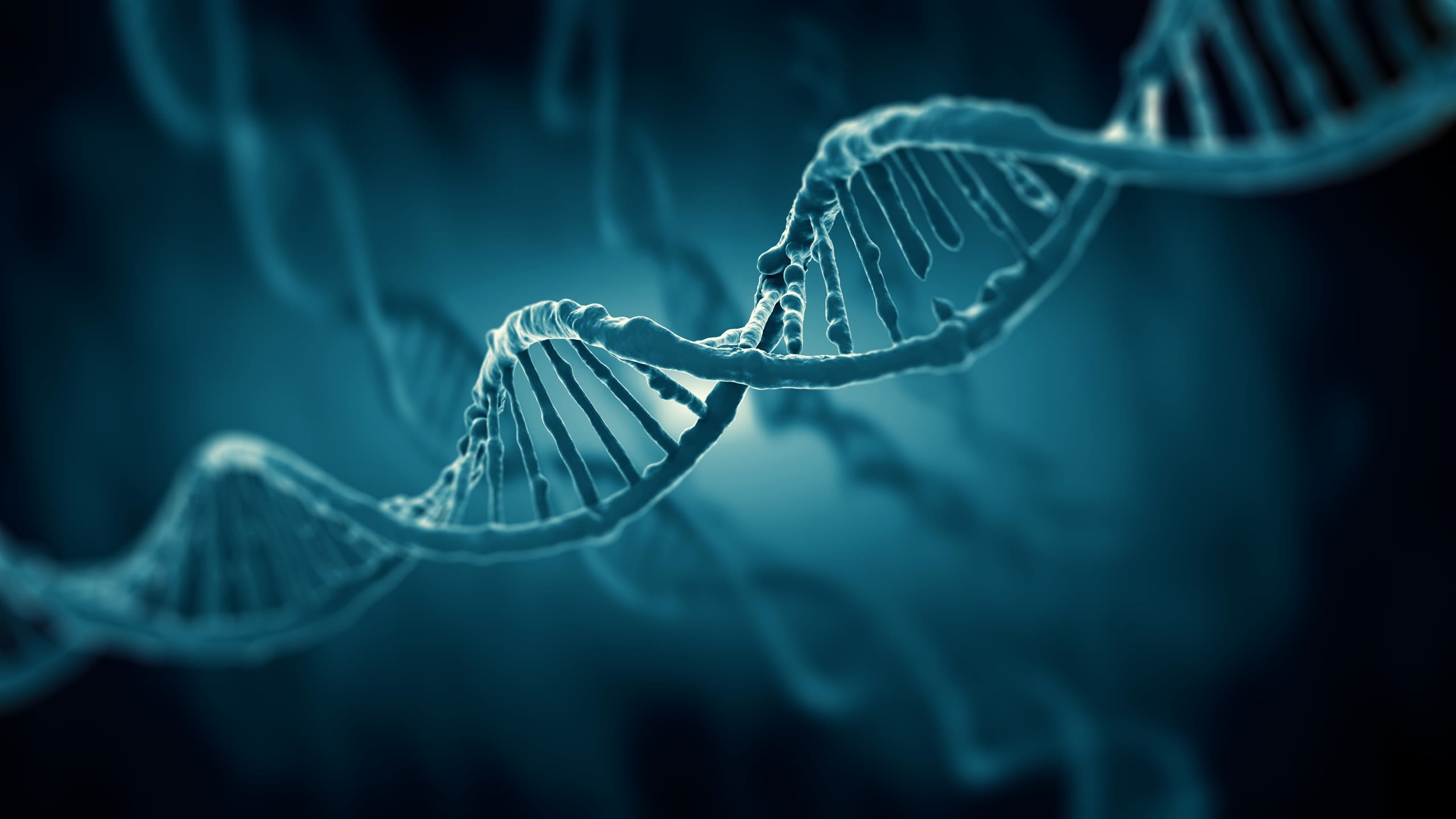 A graphic of the double helix structure of DNA.