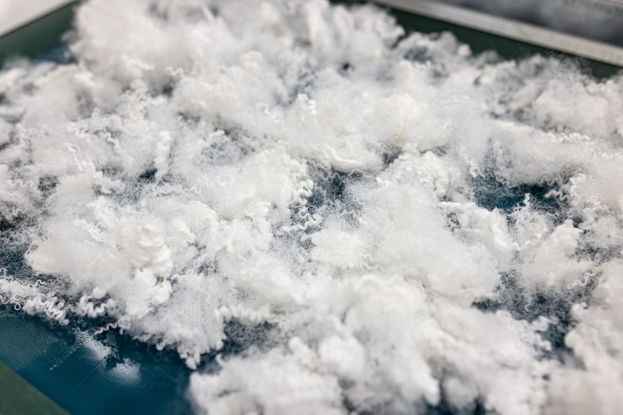 Non-woven fibres with the appearance of wool