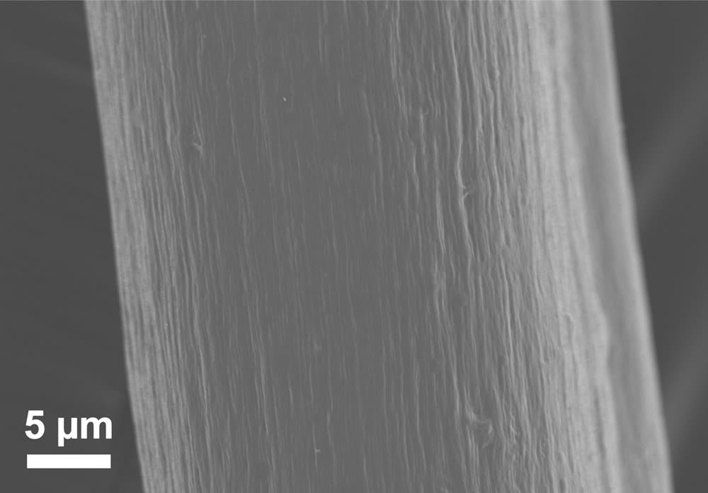 A microscopic image of collagen fibre. 