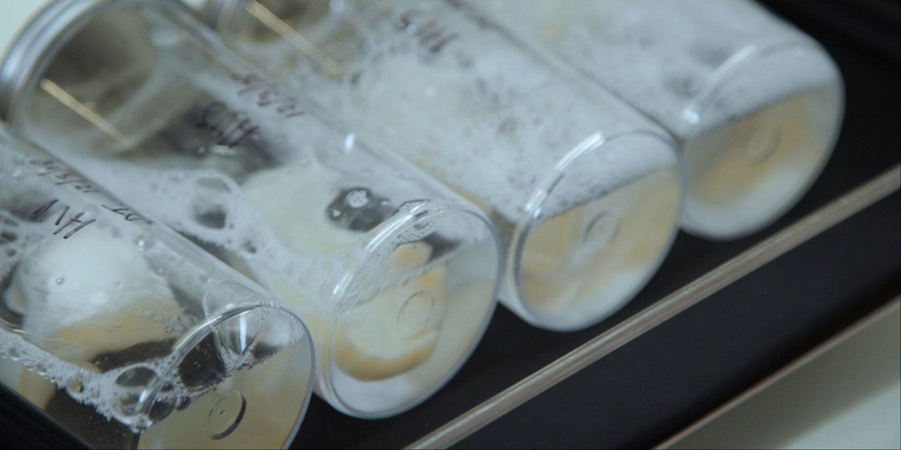 A row of clear plastic vials.