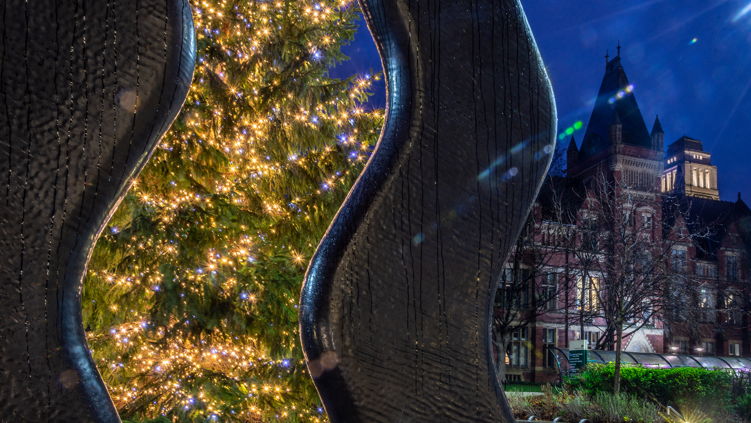 The Great Hall with a Christmas tree