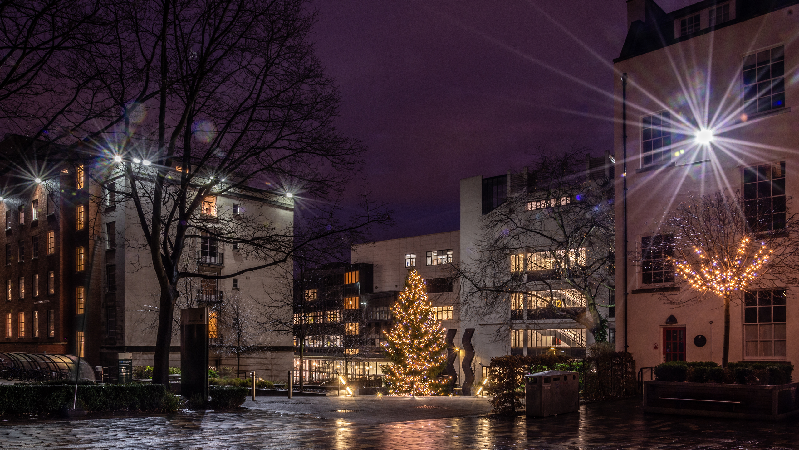 Two students, sat by a window. One is using a mobile phone and the other learning using a tablet.