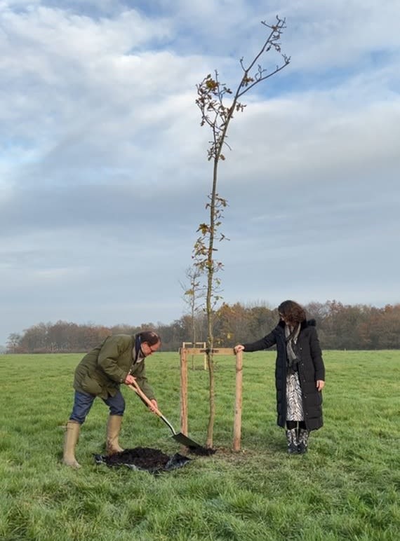 Two people planting a young tree in a field. One of them is digging while the other holds a supporting stake