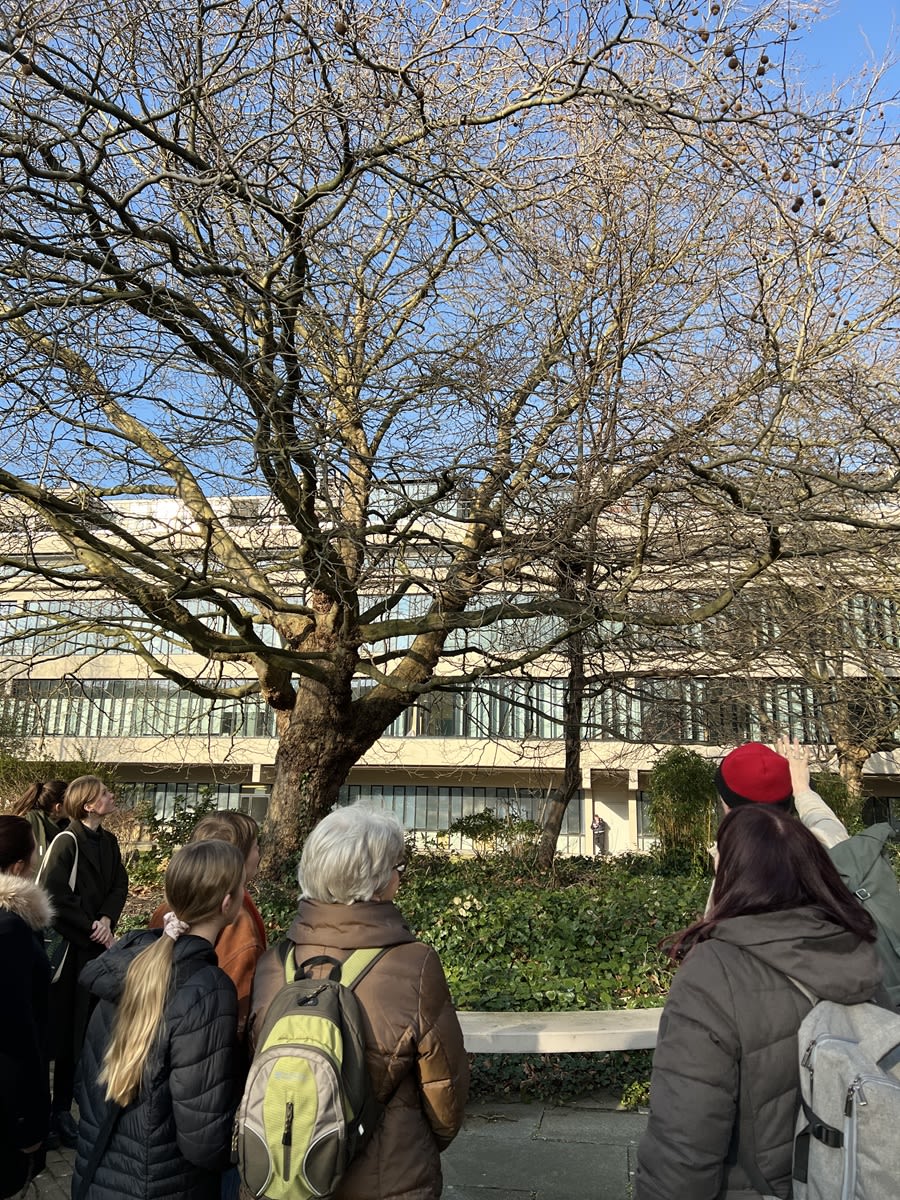 A group of people on a sunny winter's day, gathered around a tree on campus which has small bird's nests in it.