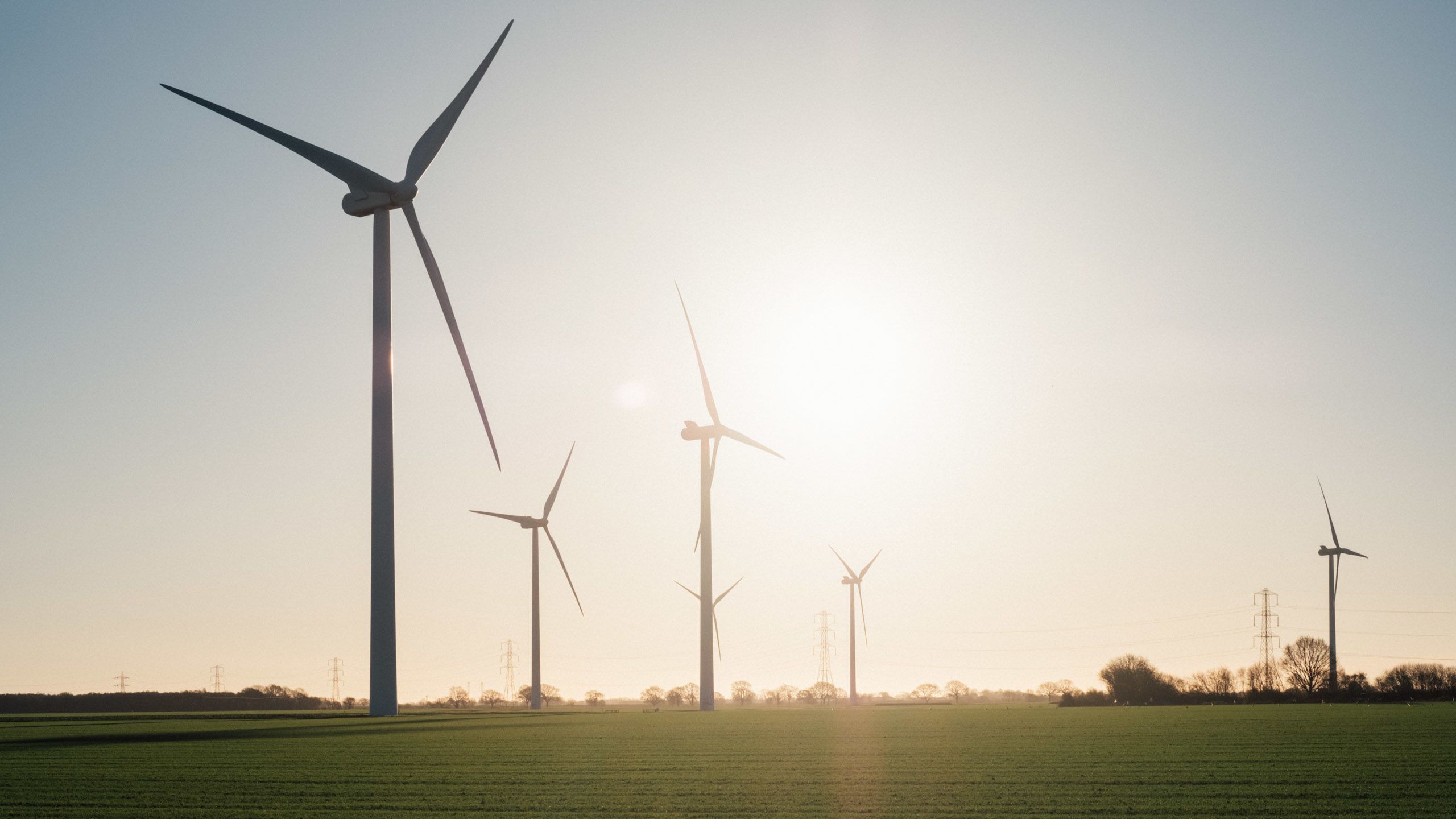 Wind turbines in a field with bright sunlight shining through them.