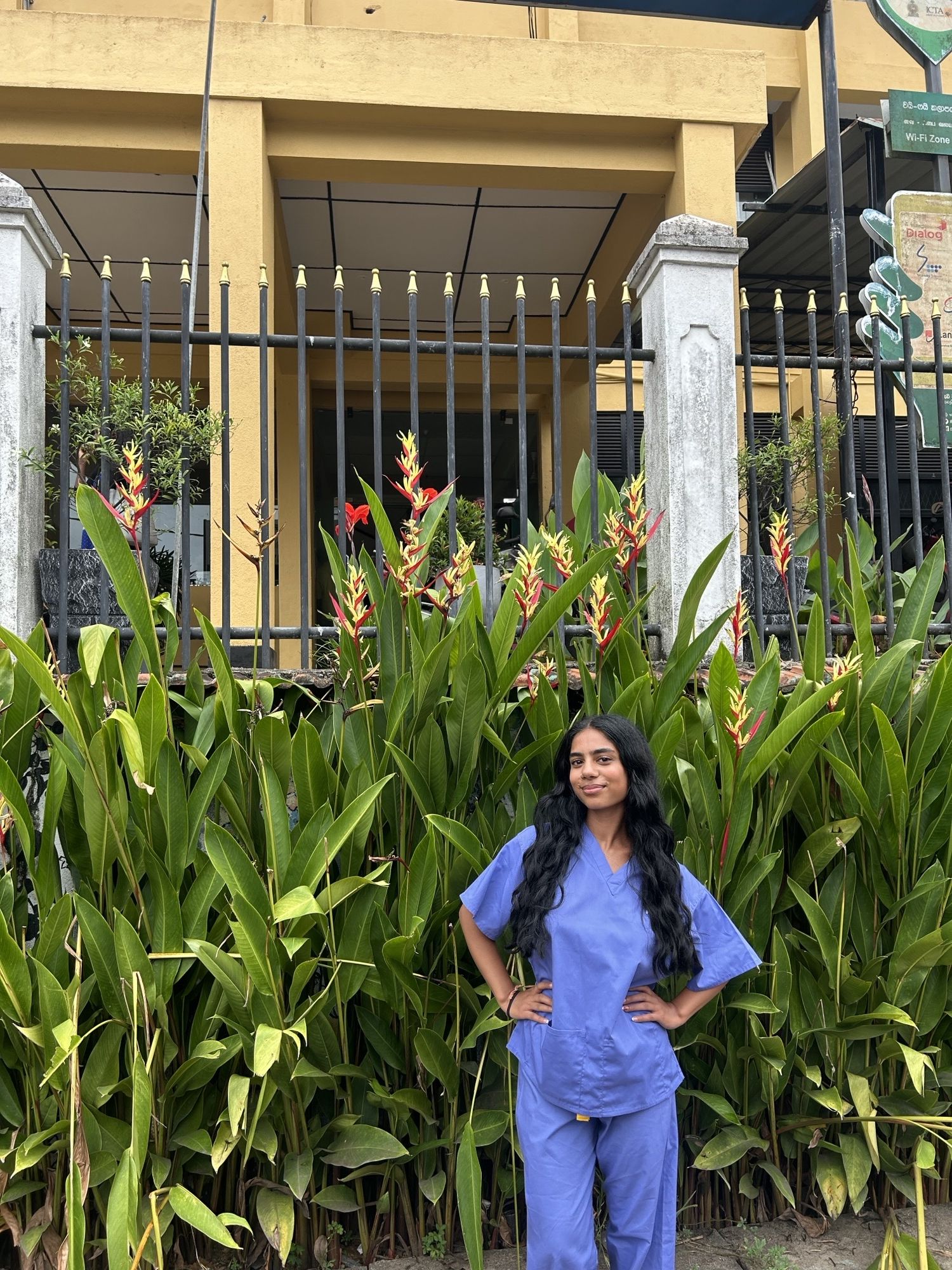 Heba, Adult Nursing 2025