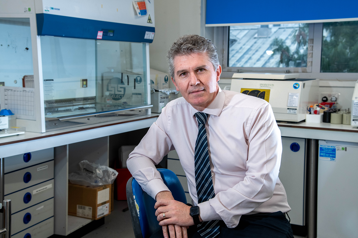 A fly on a white background
