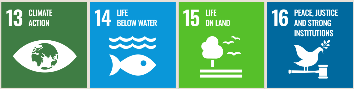 Four icons showing SDG numbers 13 - 16.  13 shows a globe at the centre of an eye shape; 14 shows waves with a fish below it; 15 shows a tree above two horizontal lines, and birds flying. 16 shows a dove of peace and a judge's gavel. 