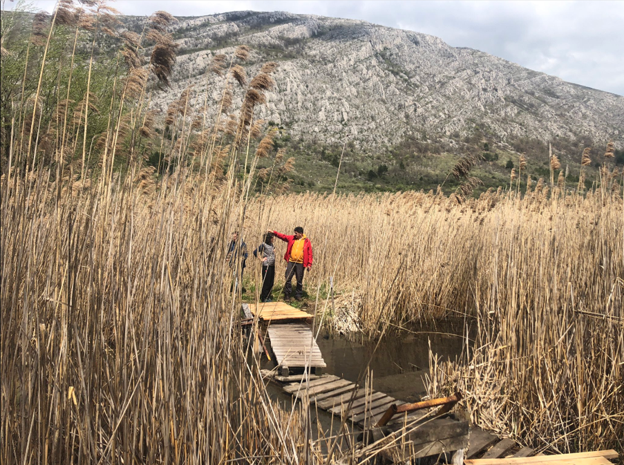 two figures standing in marshland surrounded by long reeds.