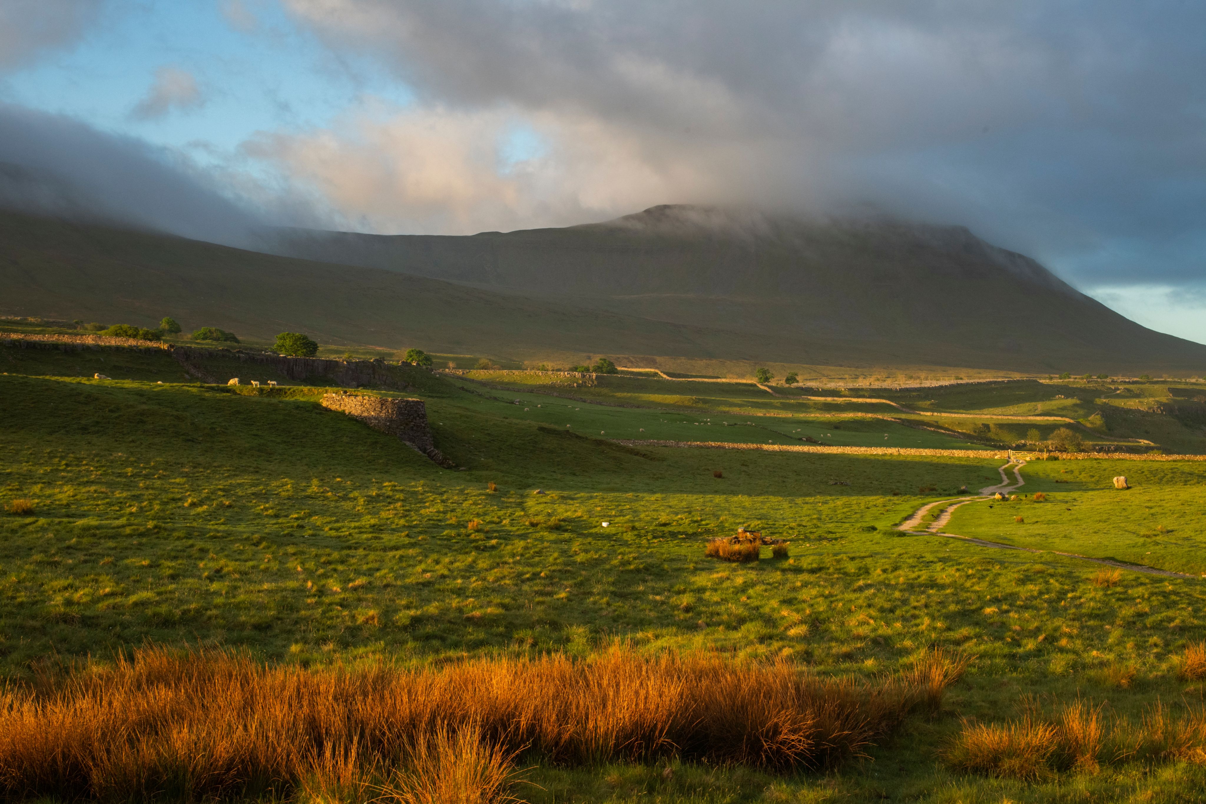 The peak of Ingleborough mountain shrouded in mist in the Wild Ingleborough site.