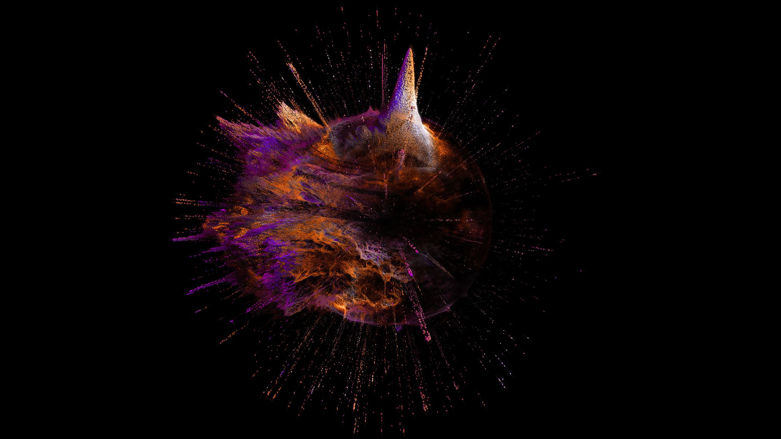 An explosion of colours on a dark background