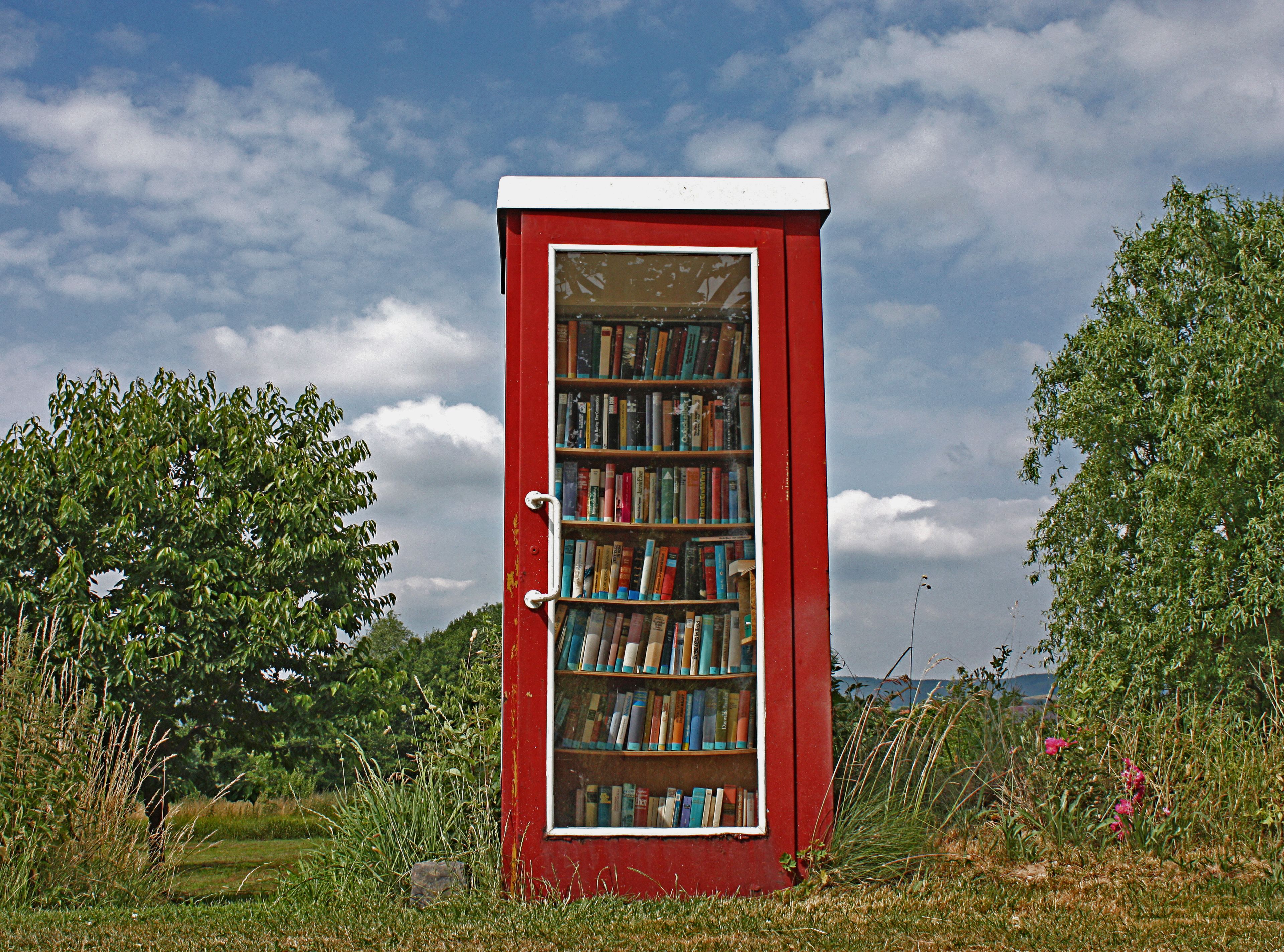 A converted telephone box in a field, full of library books.