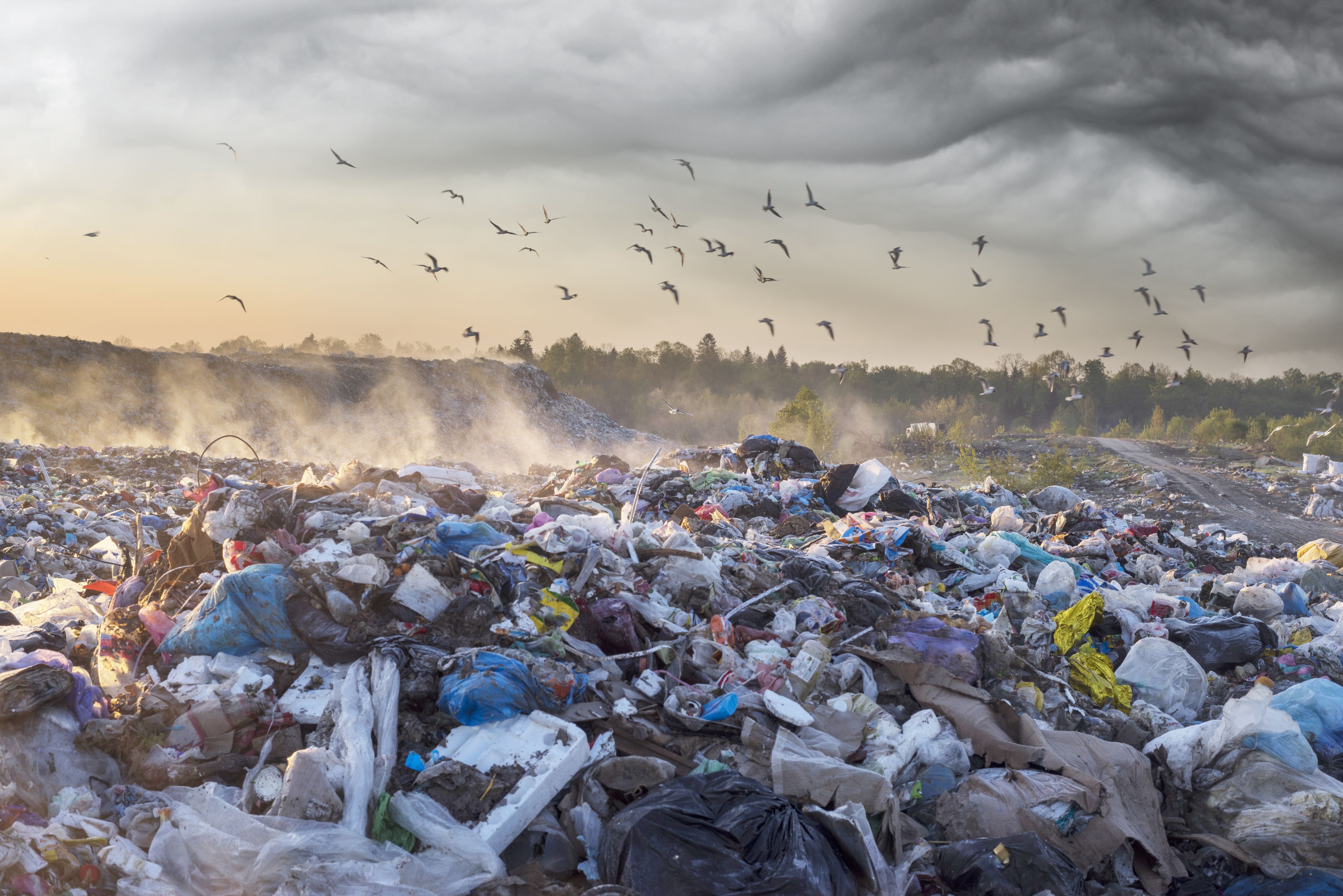 Sun rising above a sea of rubbish and refuse, with birds soaring in a stormy sky..