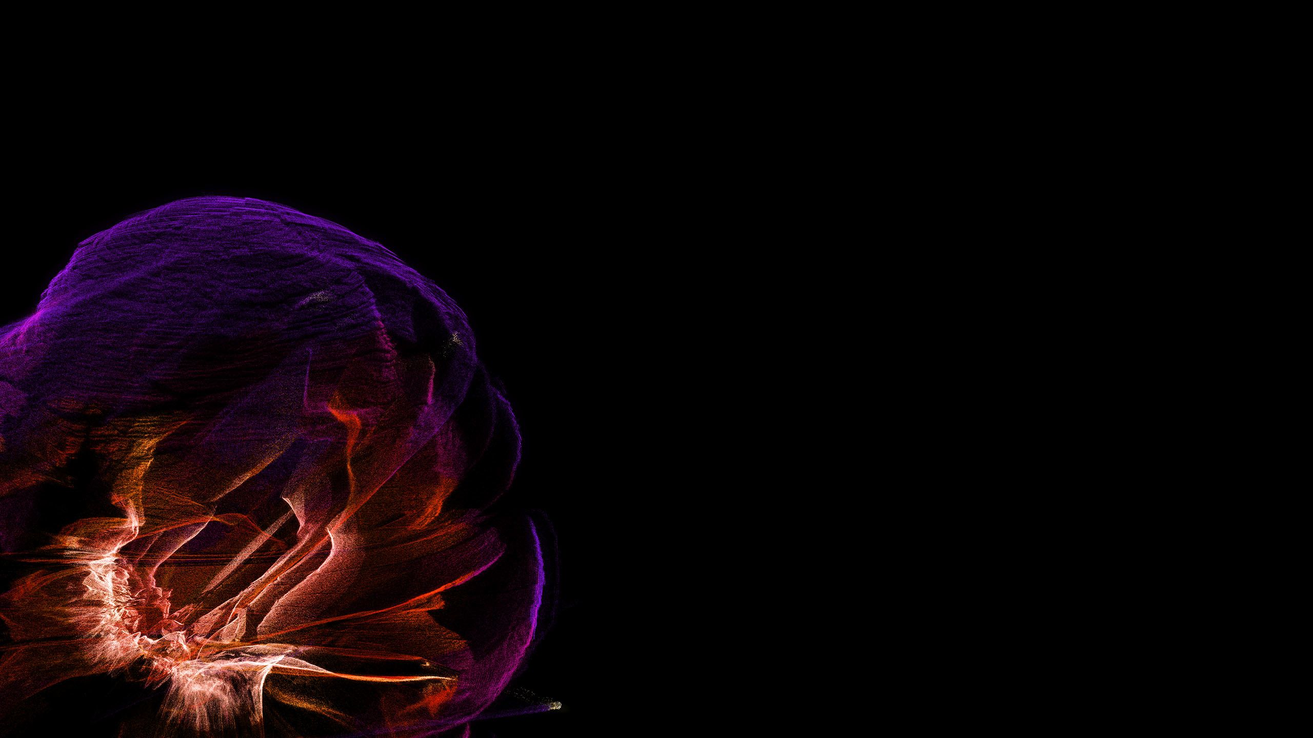 Orange and purple splashes on a black backdrop