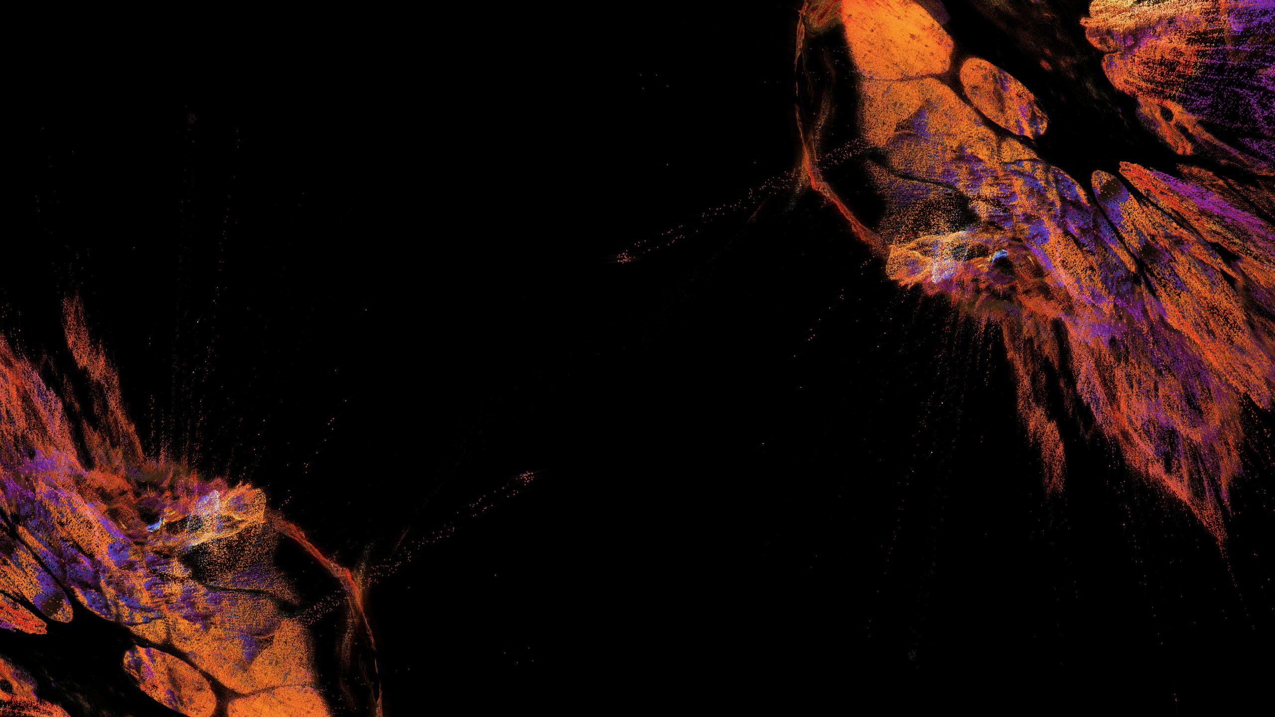 Orange and purple splashes on a black backdrop