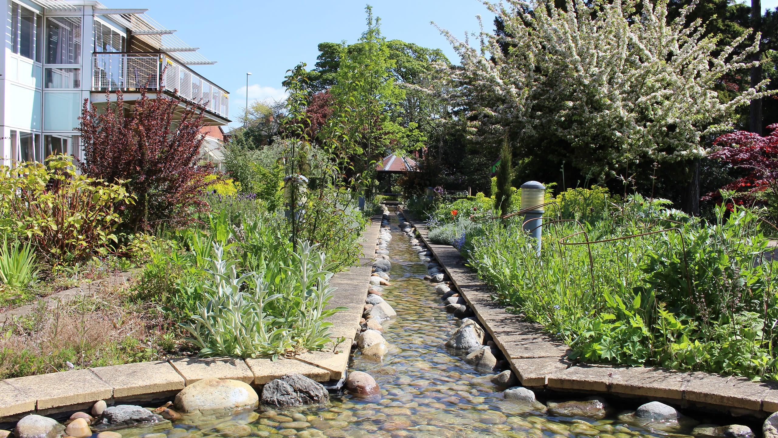 A garden on a sunny day, with lots of shrubs and plants and a water feature. A building is visible on the left.