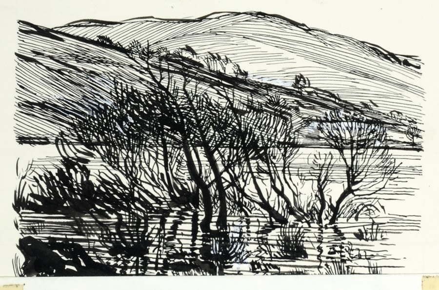 A pen and ink drawing of rolling hills with a flooded lake in the foreground, with some small trees poking out of the water.