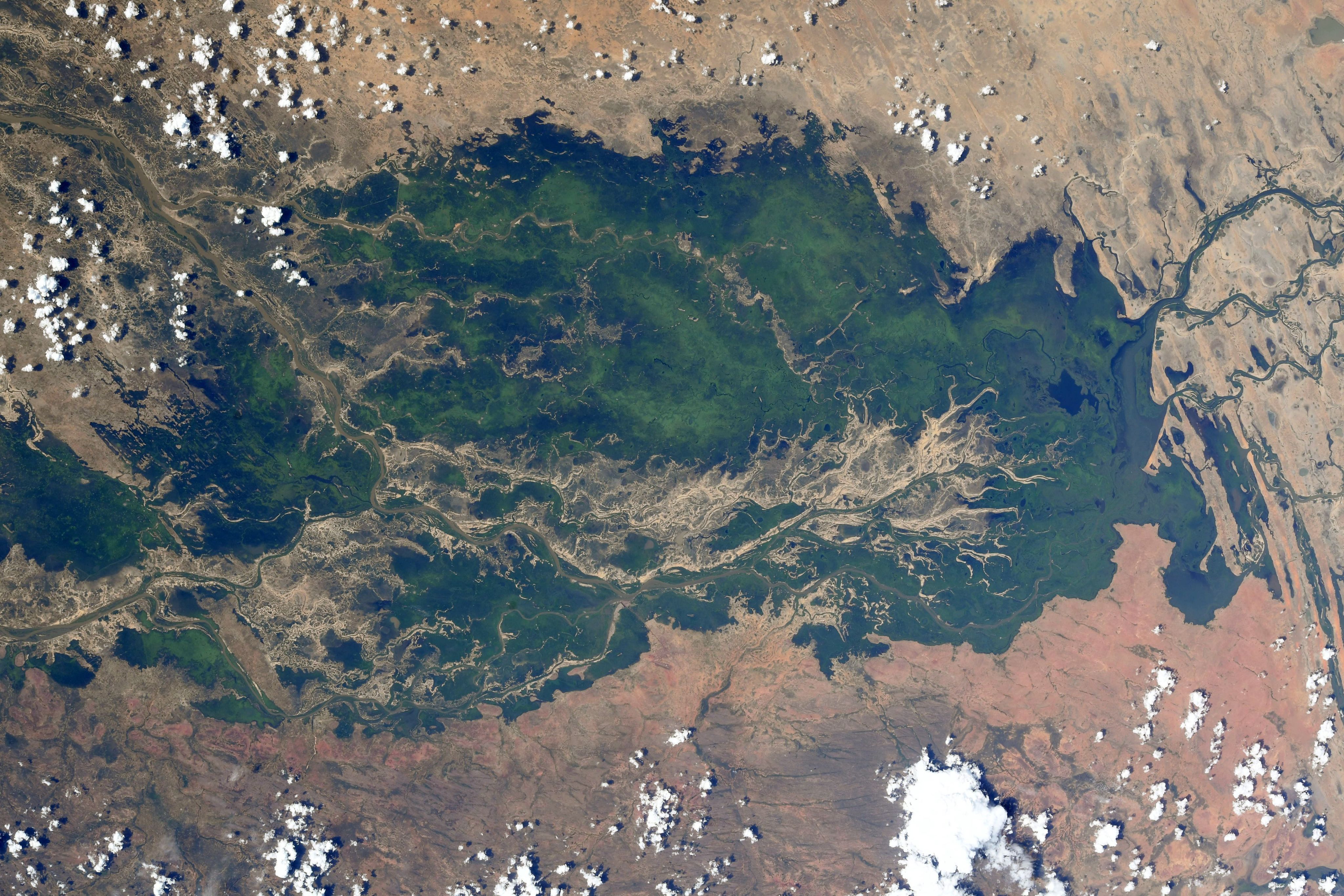 Satellite view of a green river basin surrounded by a desert